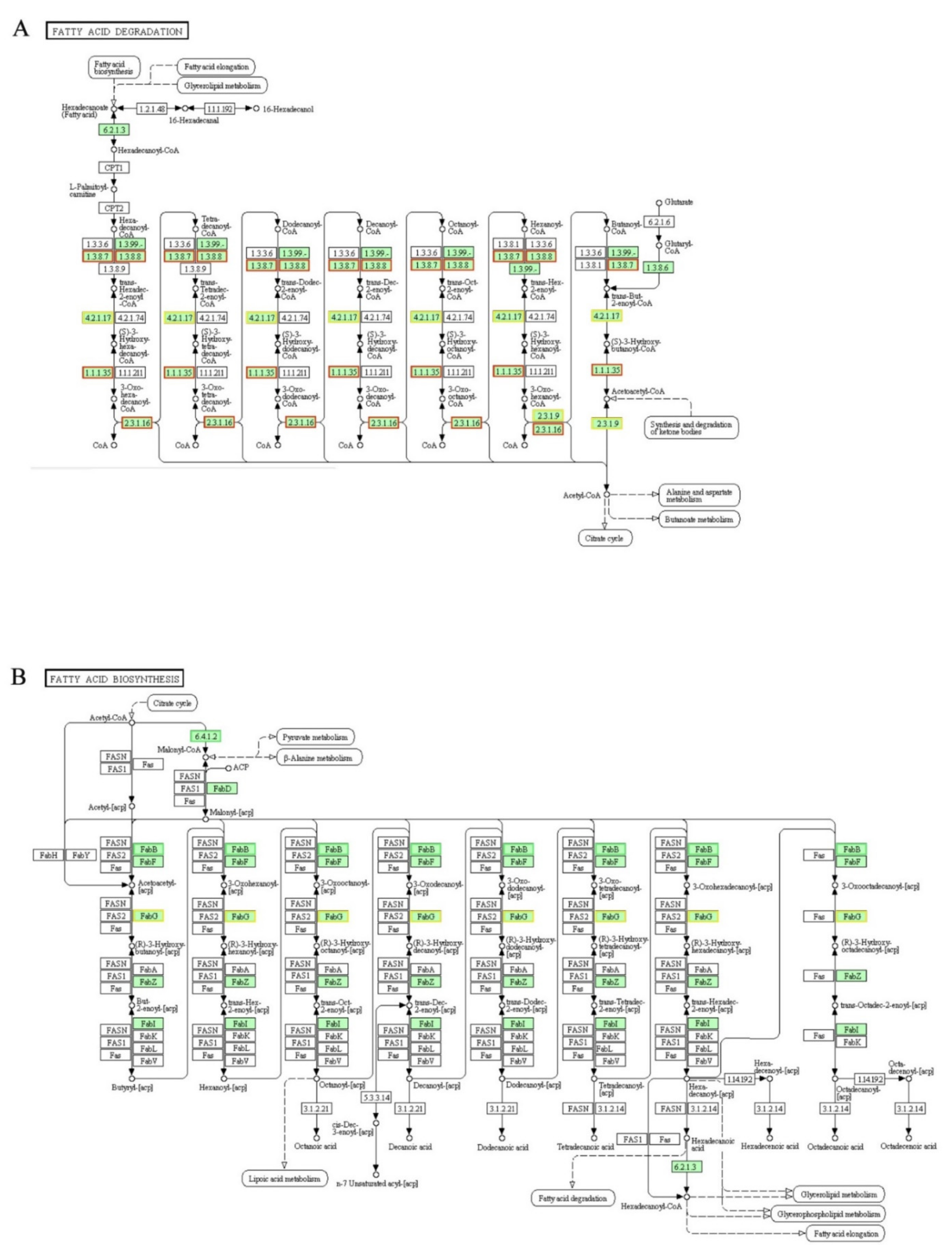 Genes 12 01003 g009 550