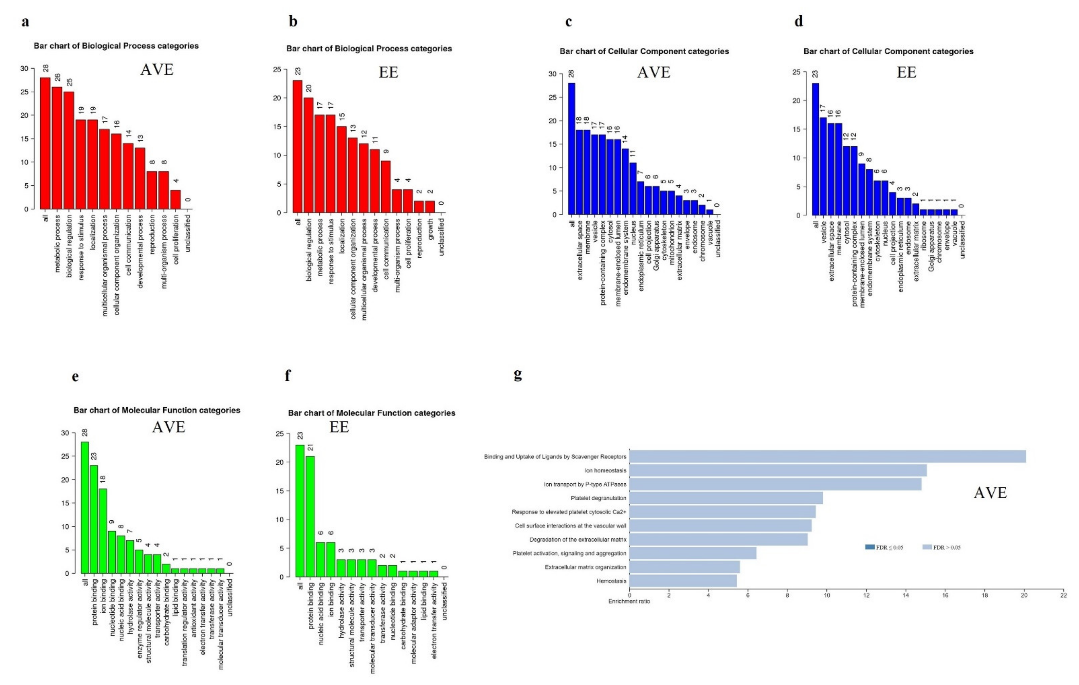 Genes 12 01005 g004a