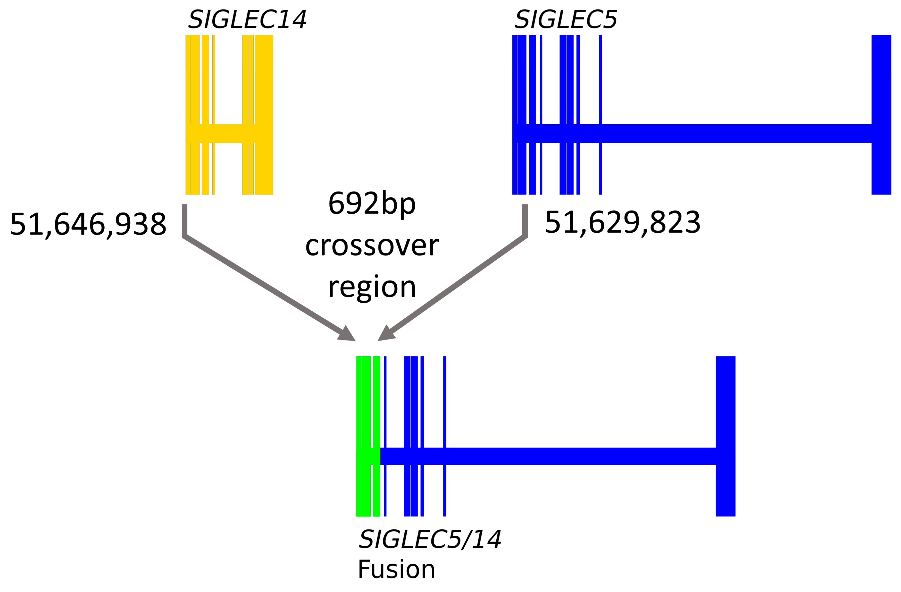Genes 12 01008 g001 550