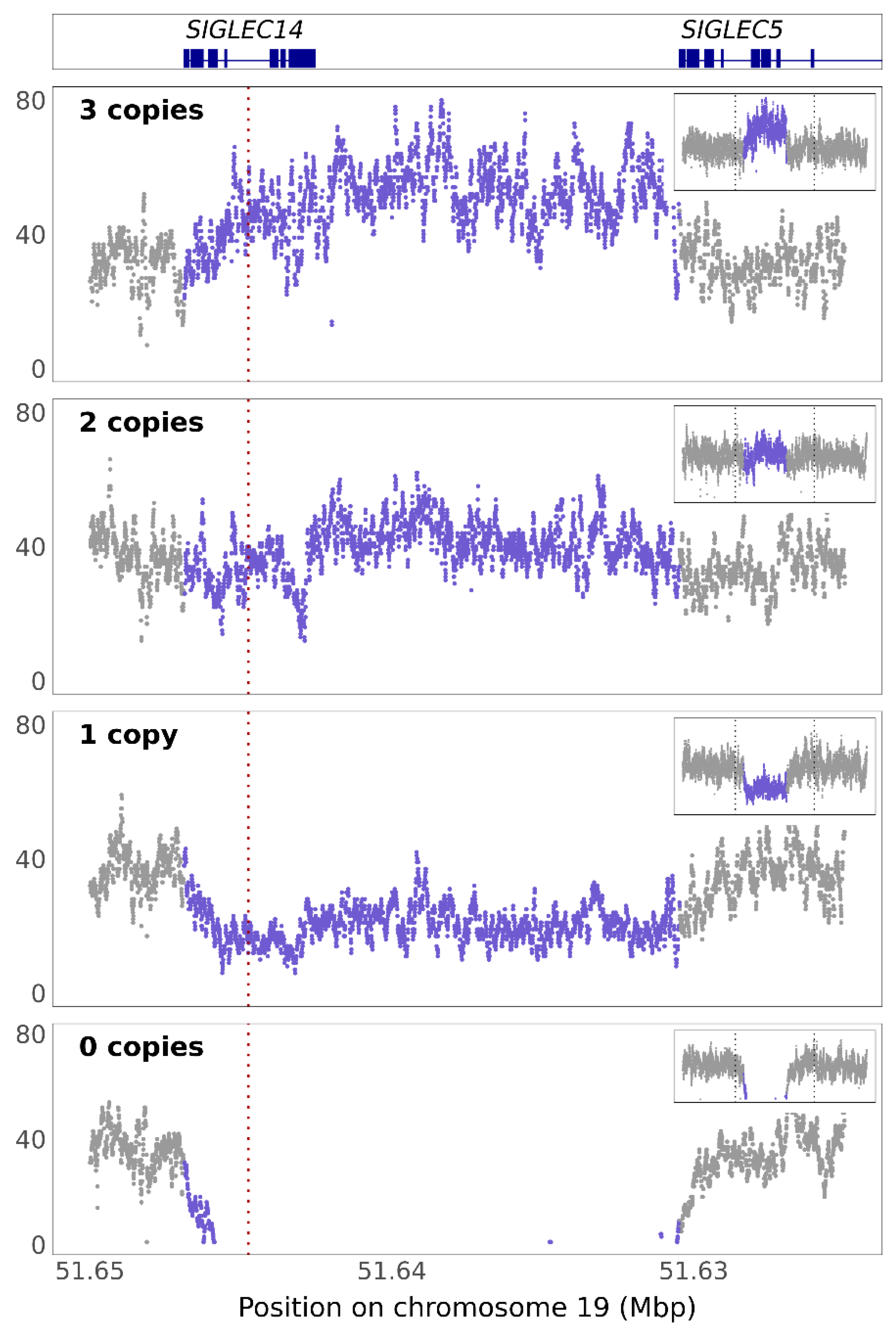 Genes 12 01008 g002 550