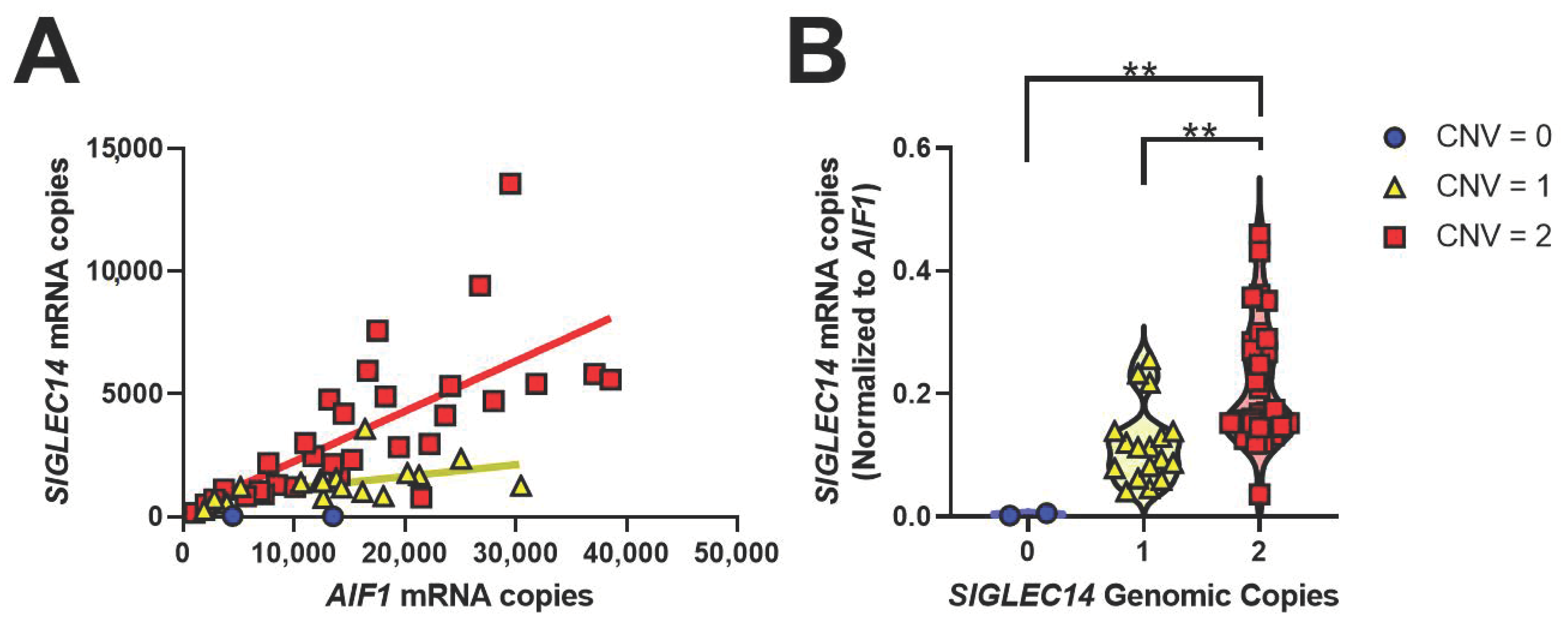Genes 12 01008 g003 550