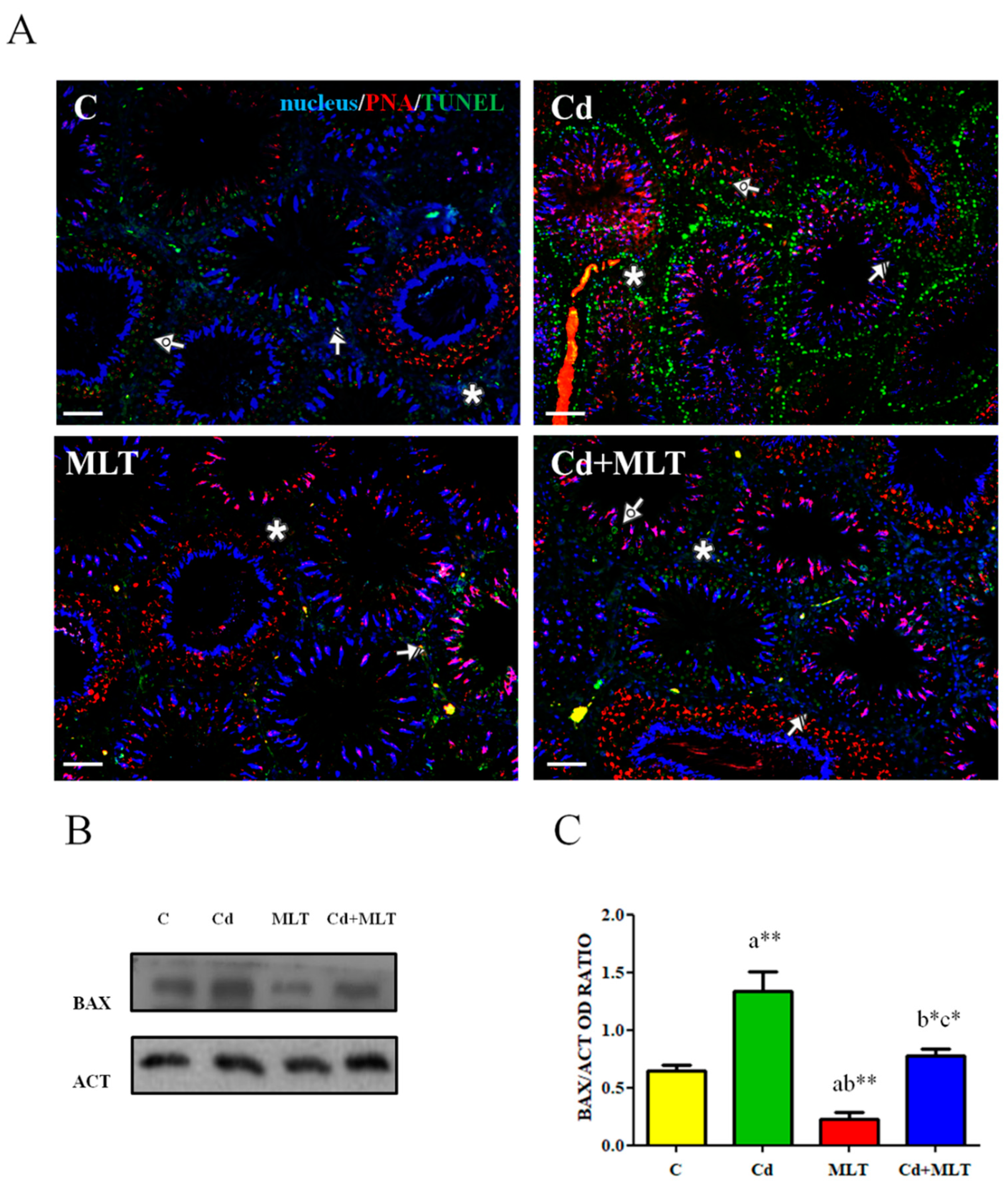 Genes 12 01016 g002