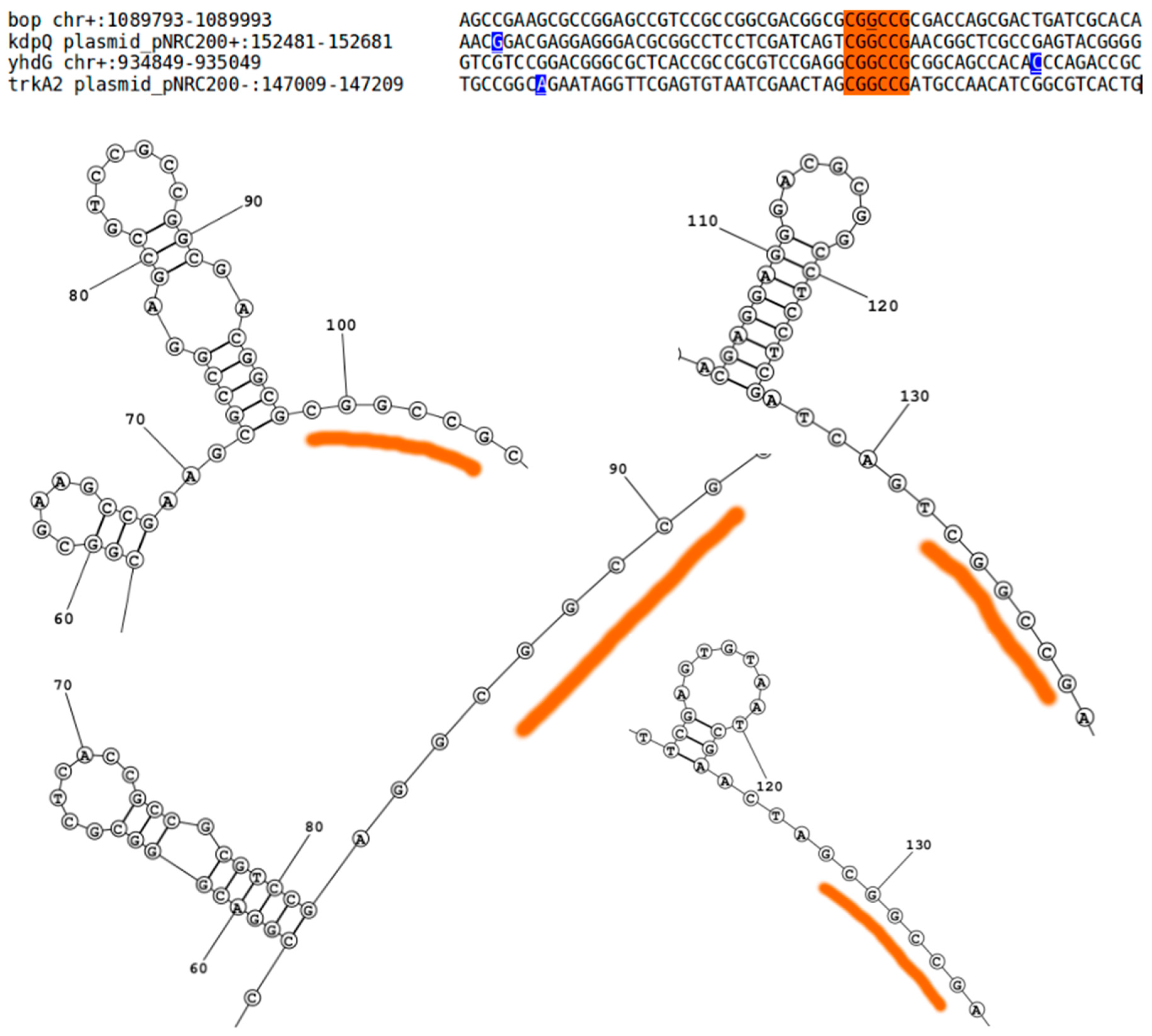 Genes 12 01018 g004 Genes 12 01018 g004