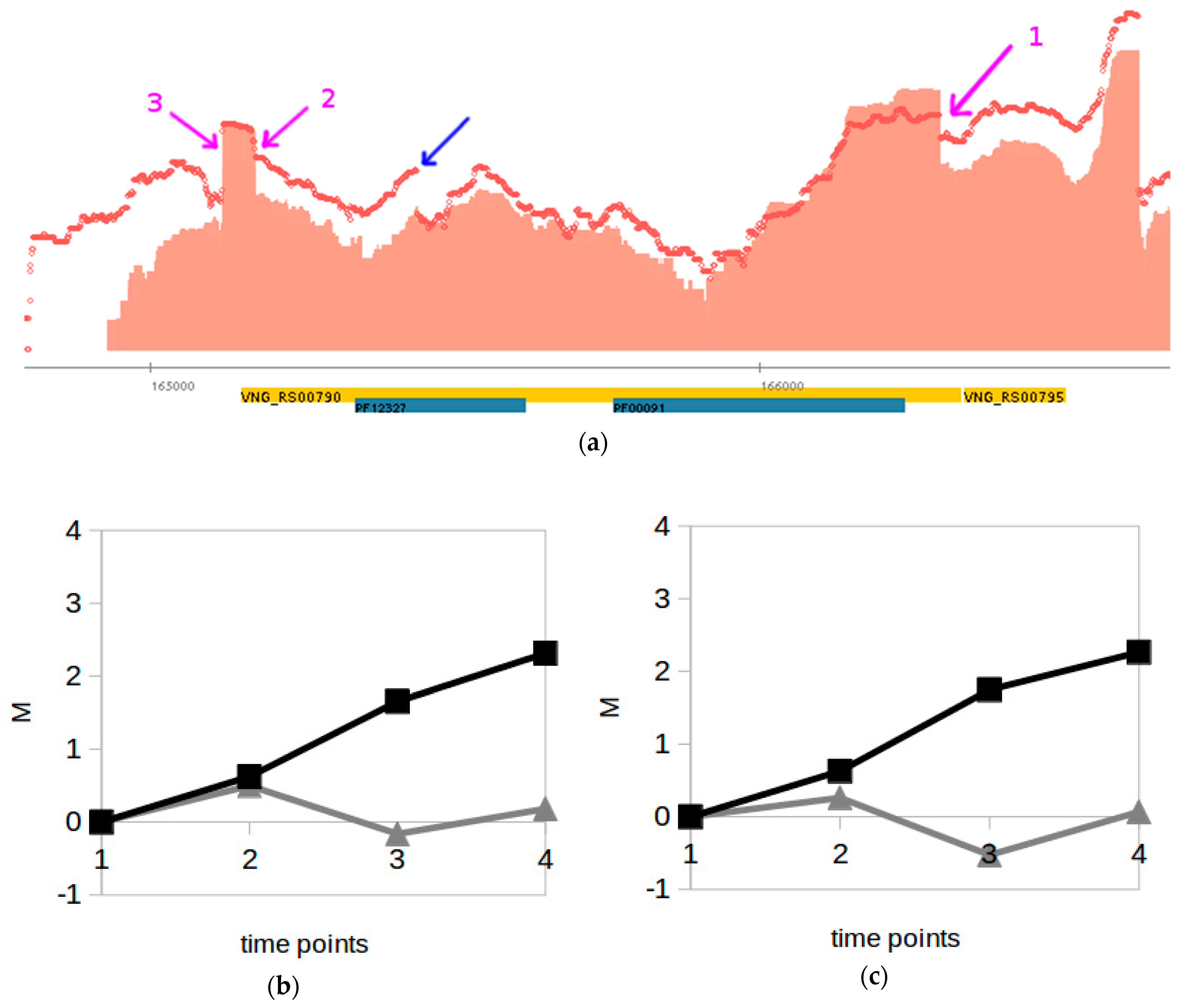 Genes 12 01018 g005 Genes 12 01018 g005