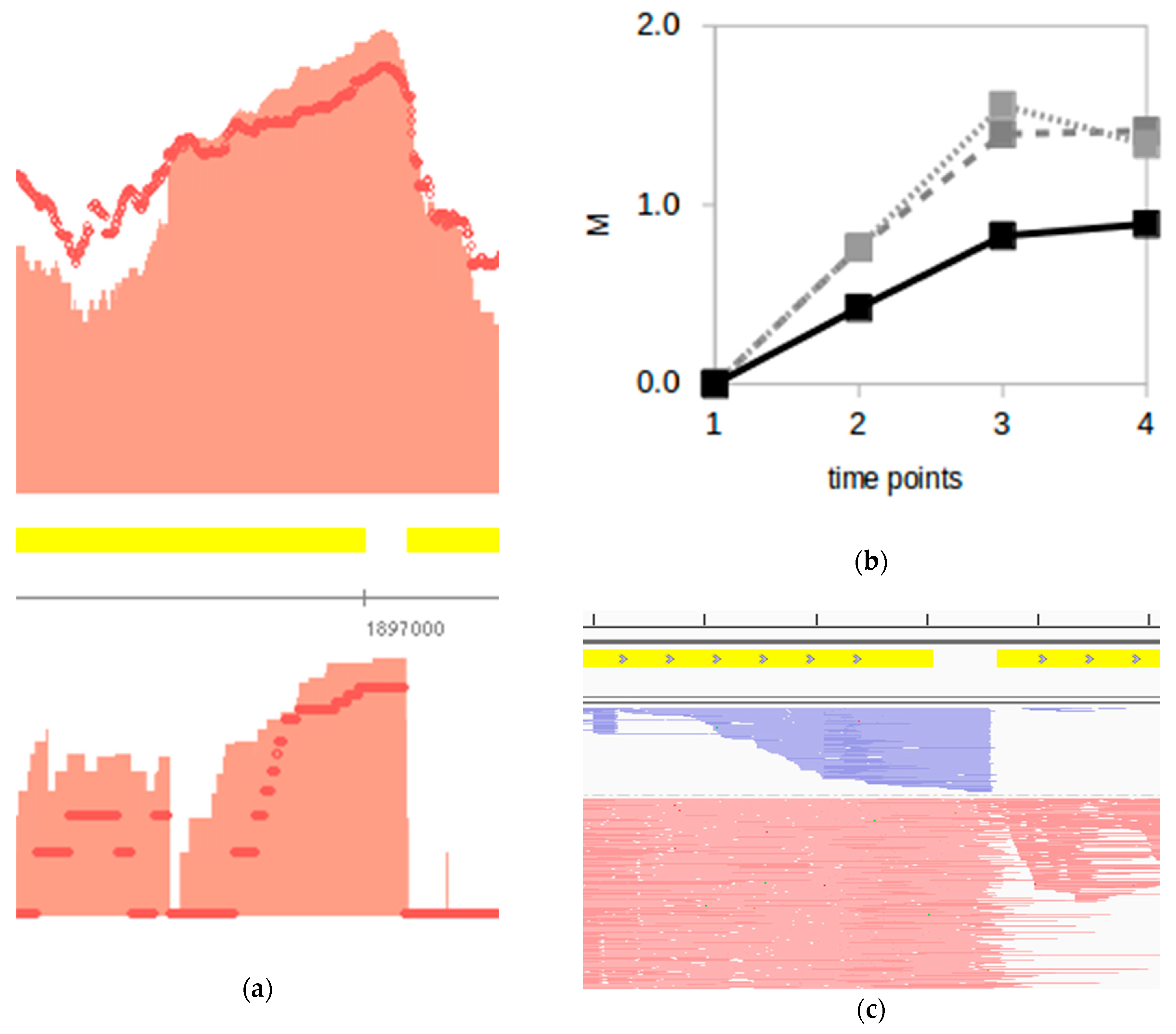 Genes 12 01018 g006 Genes 12 01018 g006