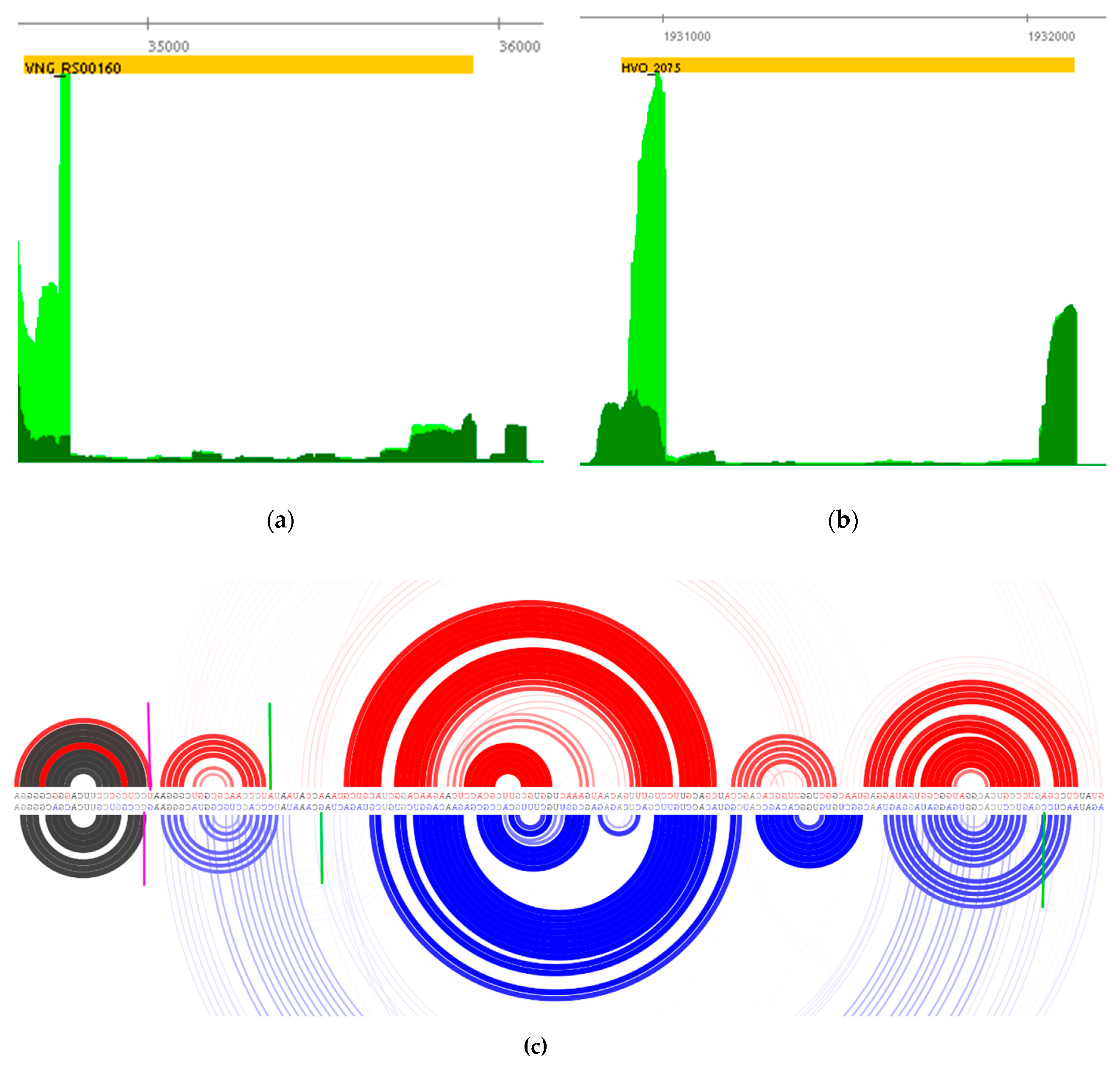 Genes 12 01018 g007 Genes 12 01018 g007