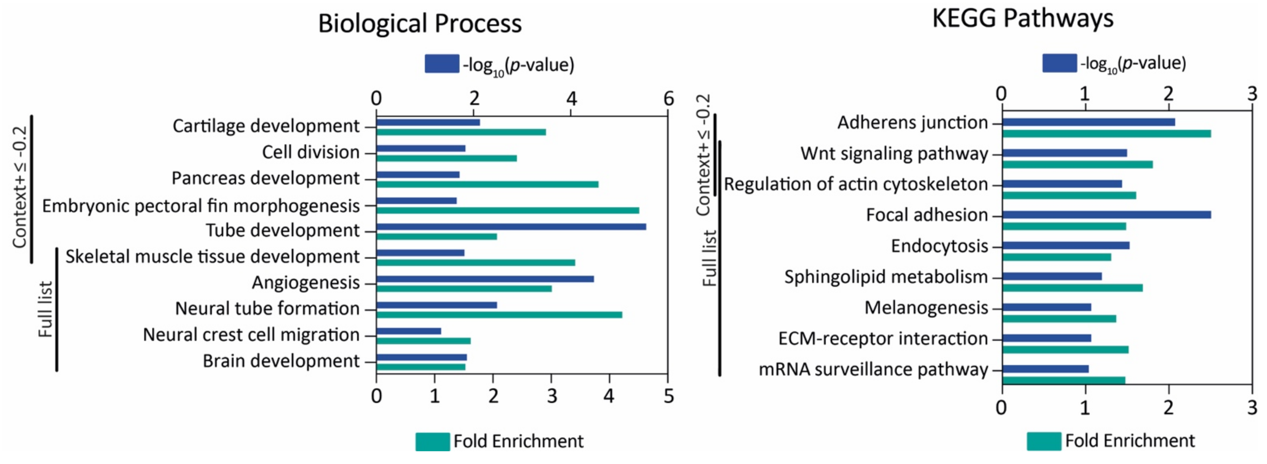 Genes 12 01023 g002