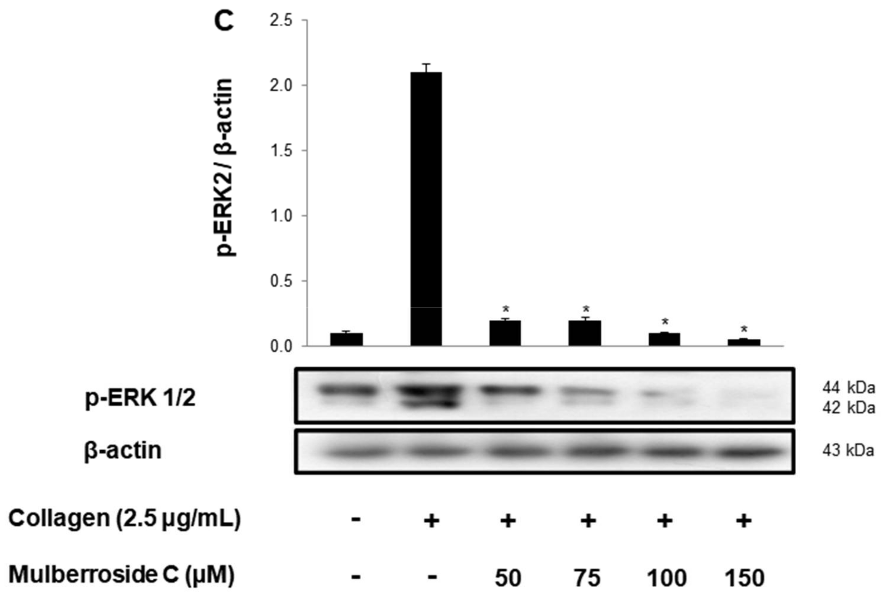 Genes 12 01024 g003b 550