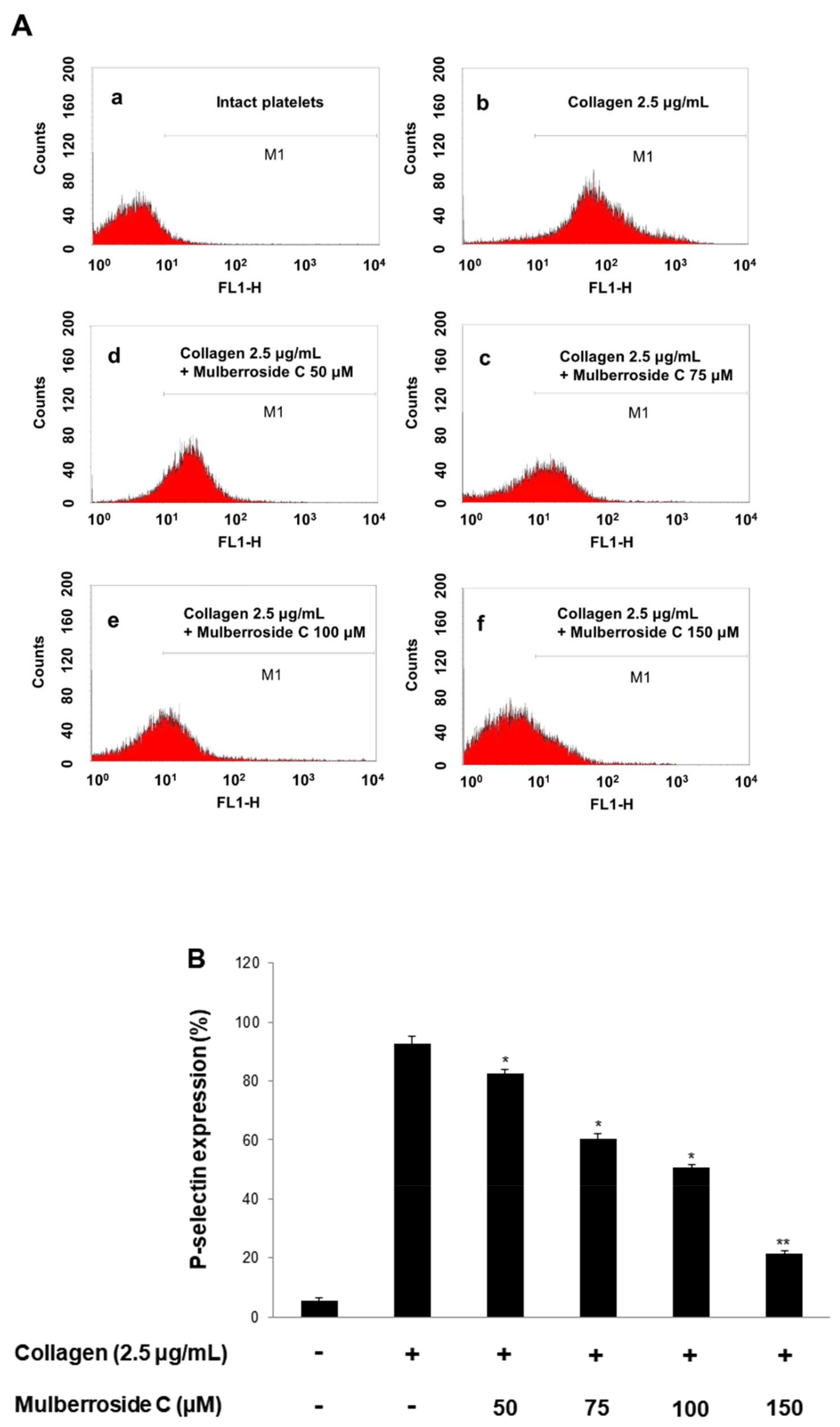 Genes 12 01024 g004a 550
