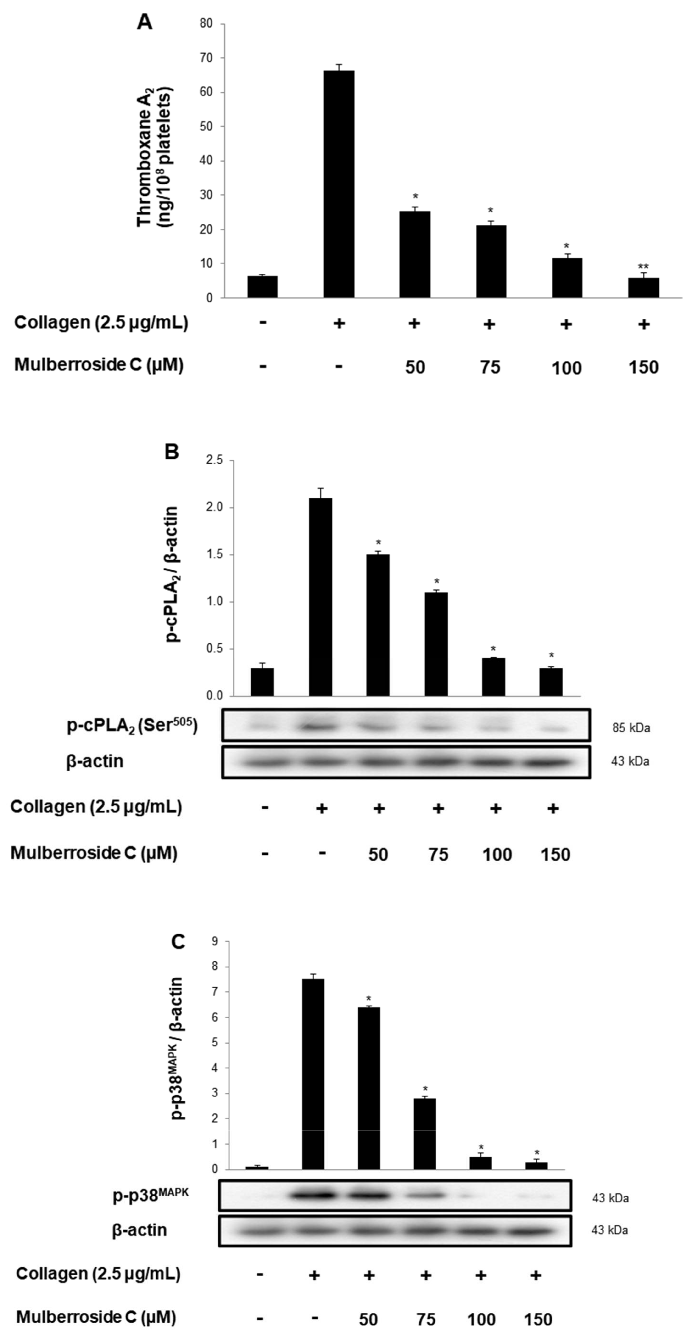 Genes 12 01024 g005 550