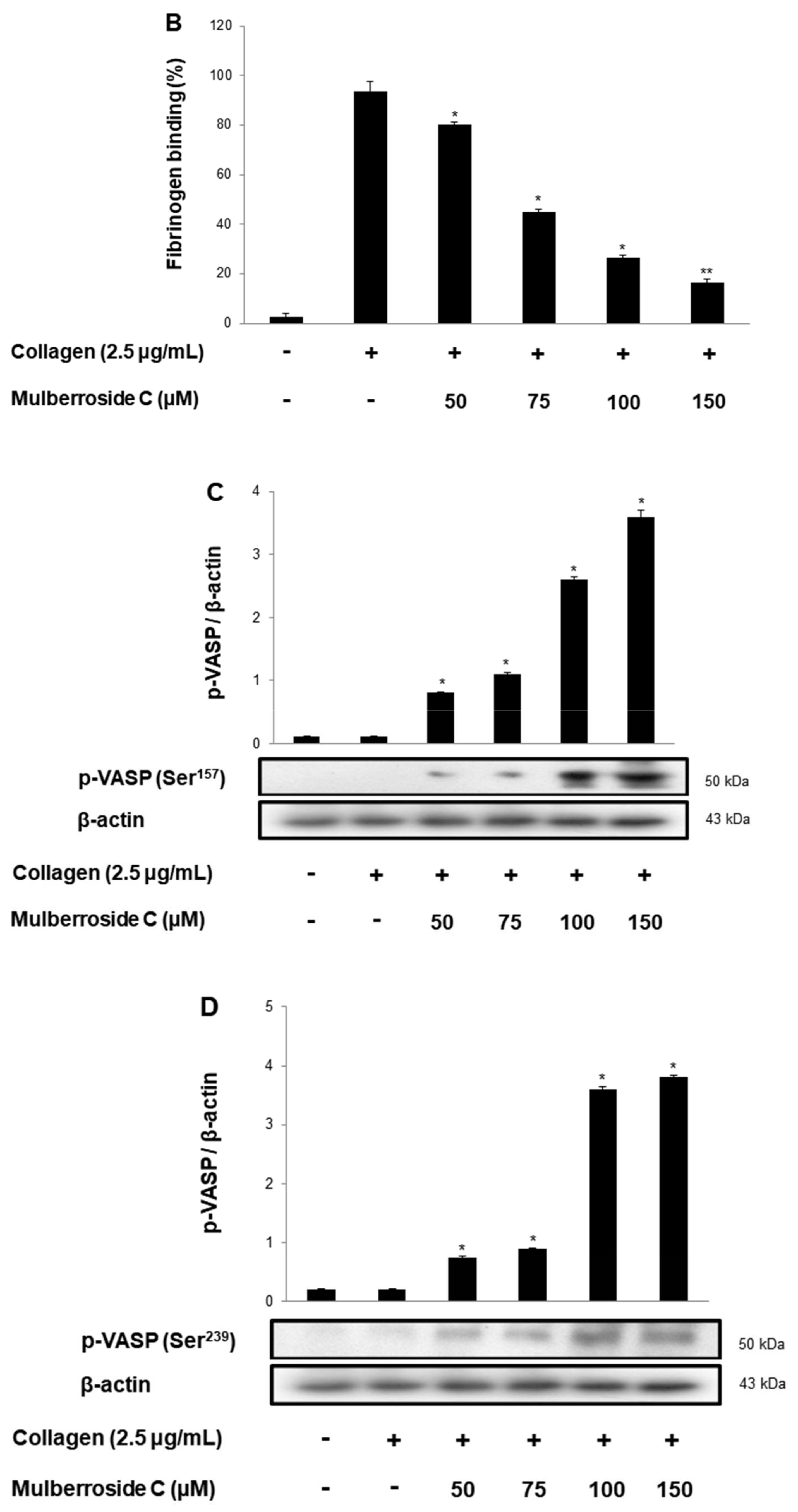 Genes 12 01024 g006b 550