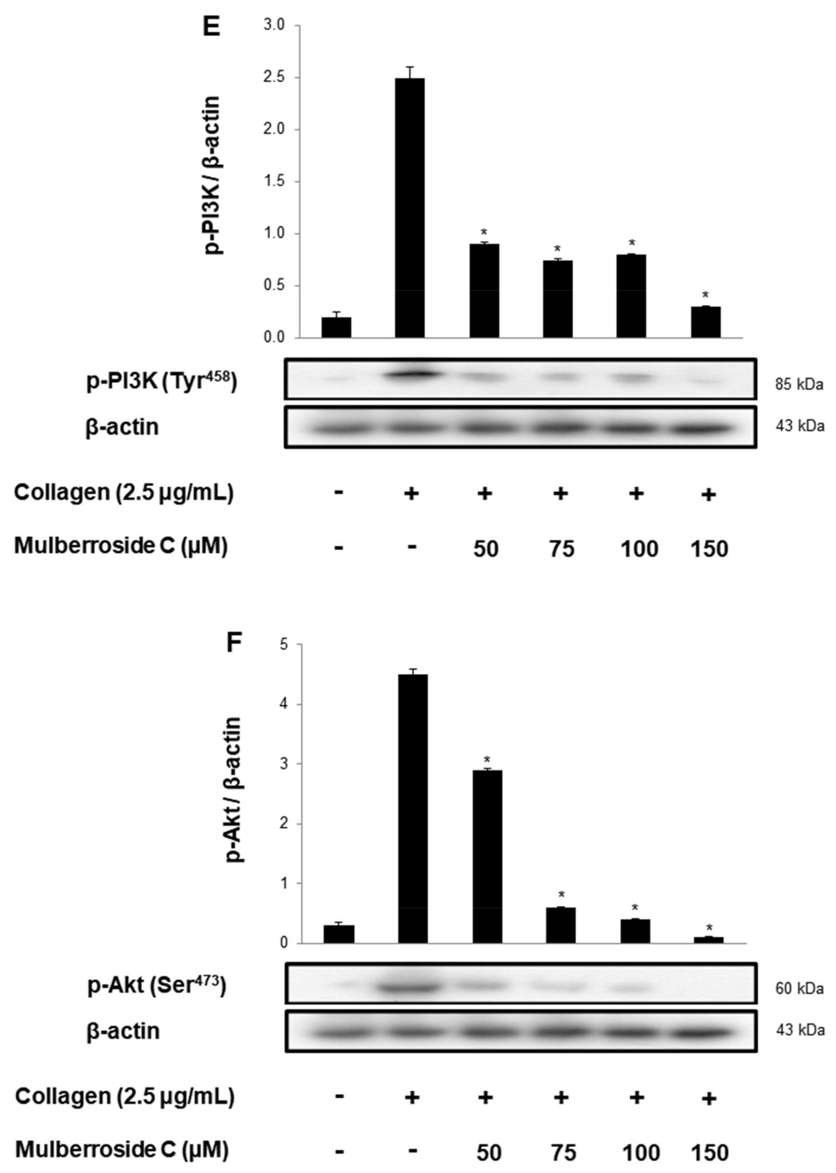 Genes 12 01024 g006c 550