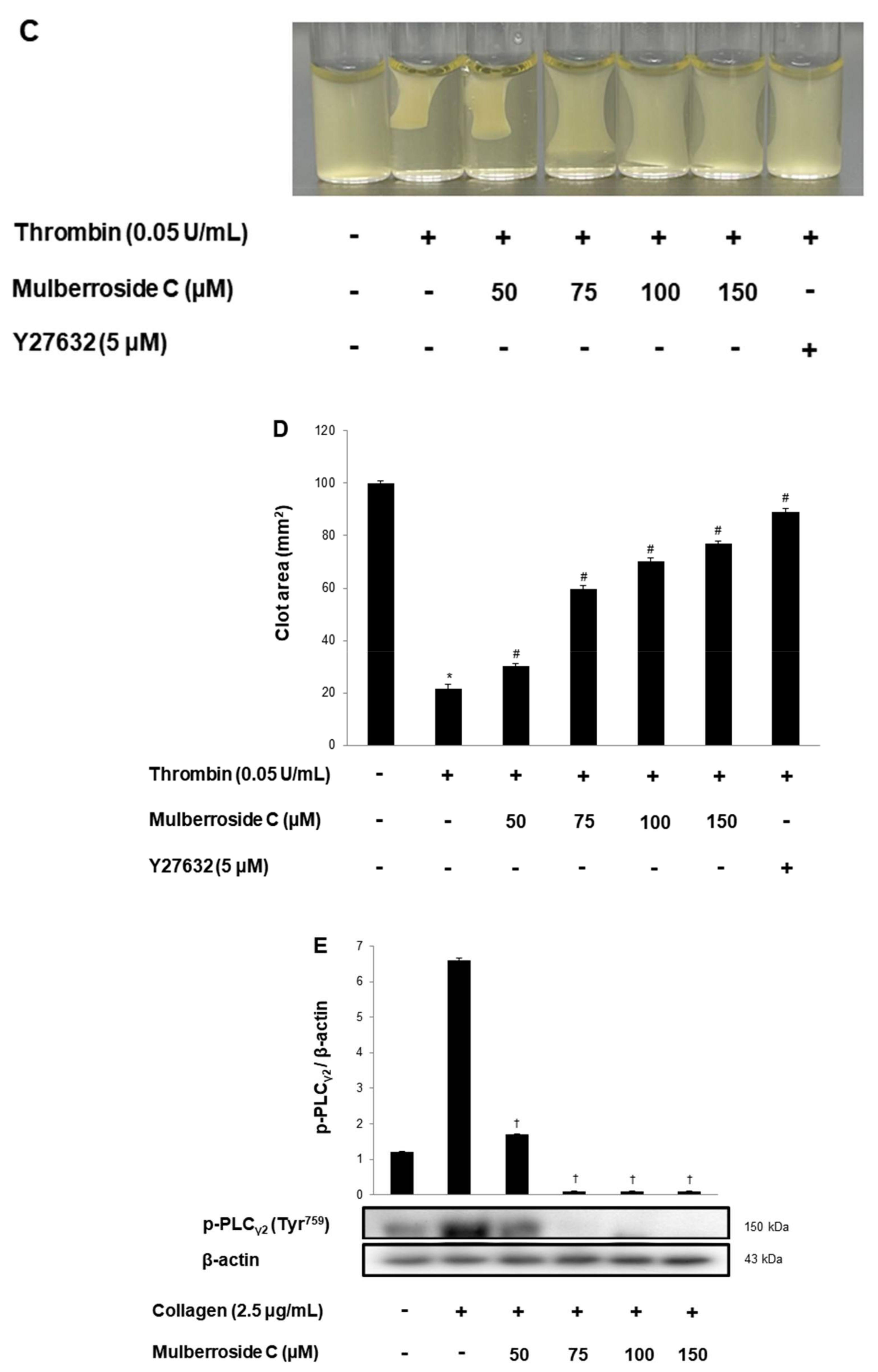 Genes 12 01024 g007b 550
