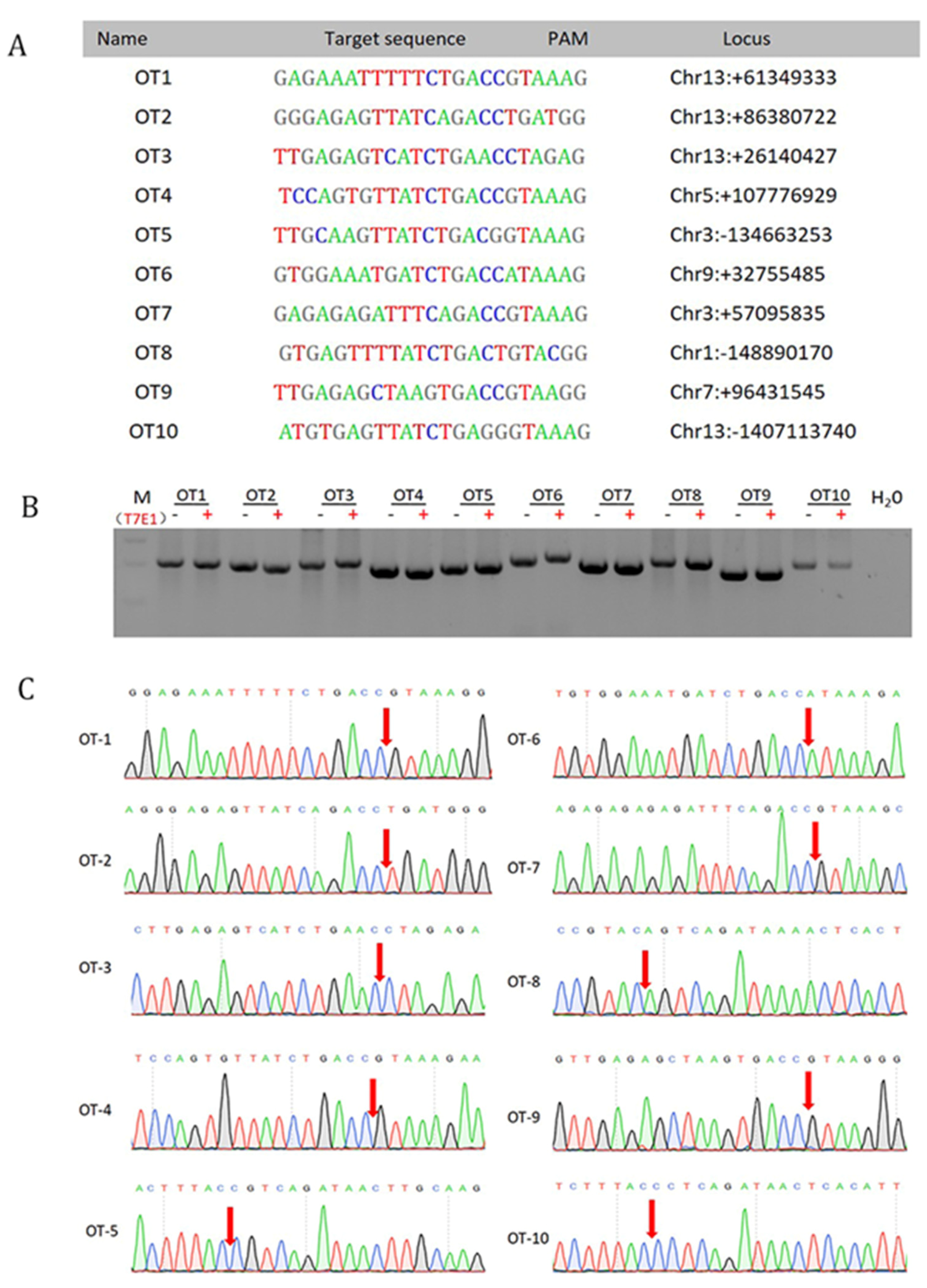 Genes 12 01027 g004