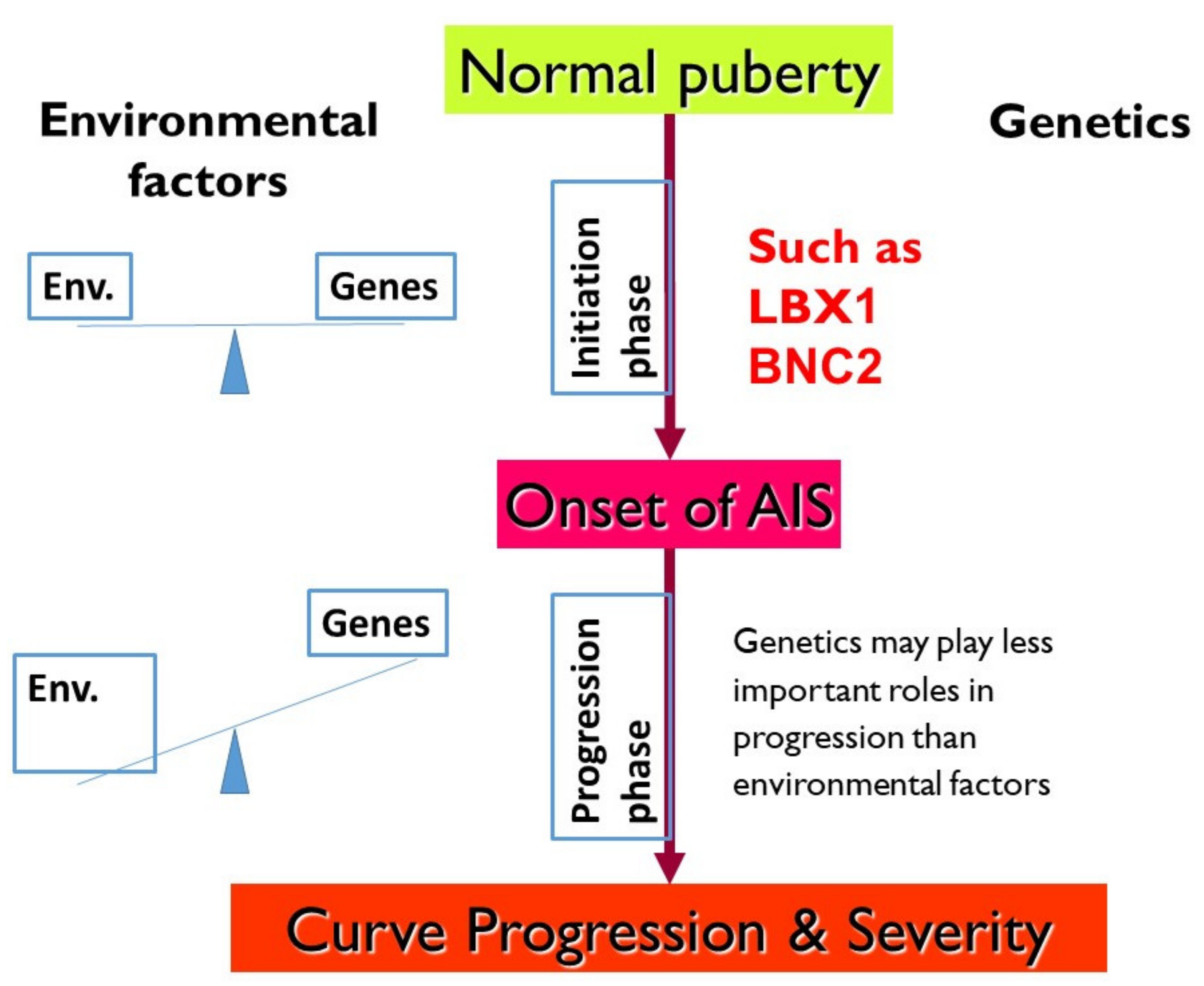 Genes 12 01033 g005 Genes 12 01033 g005