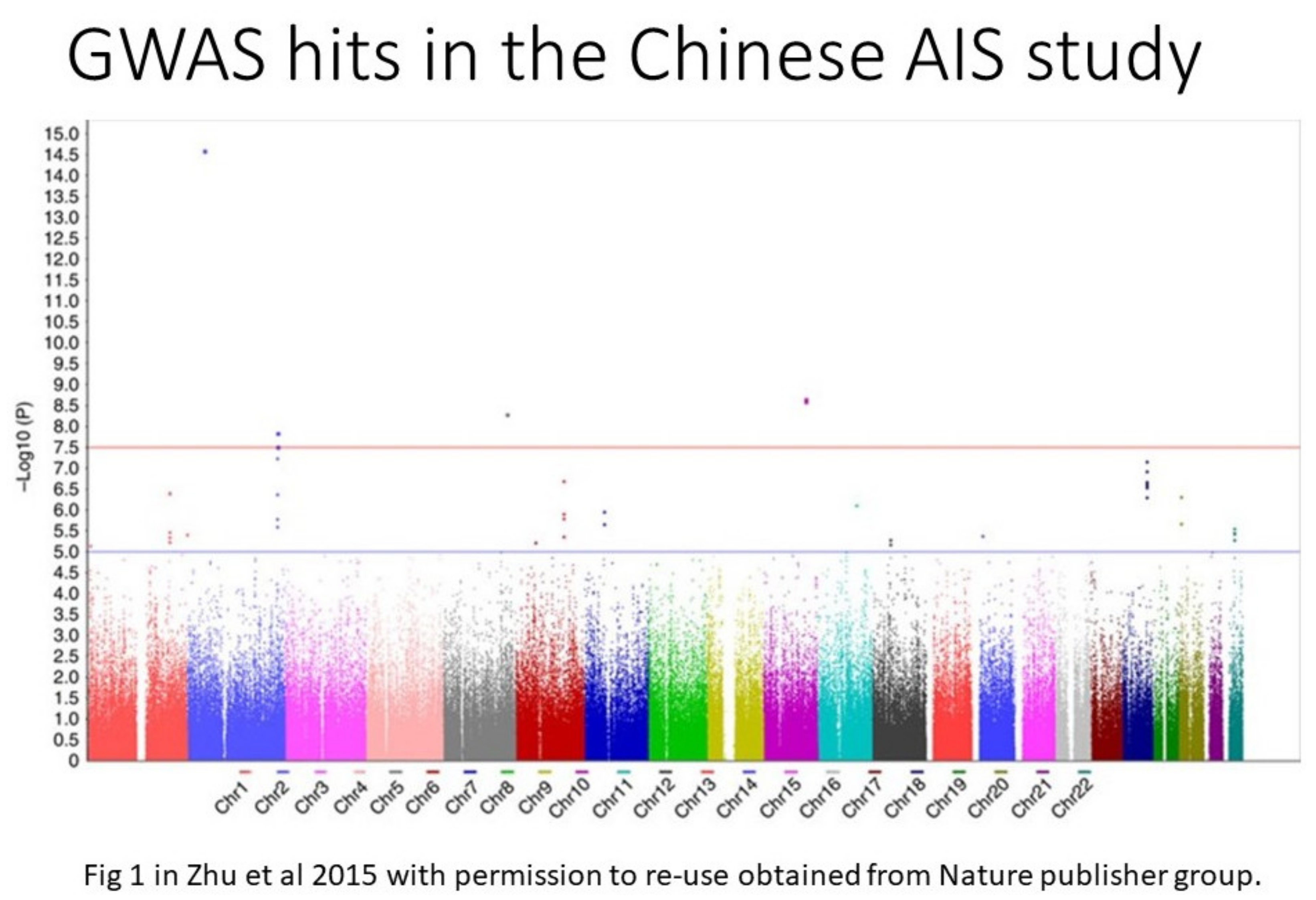 Genes 12 01033 g006 Genes 12 01033 g006