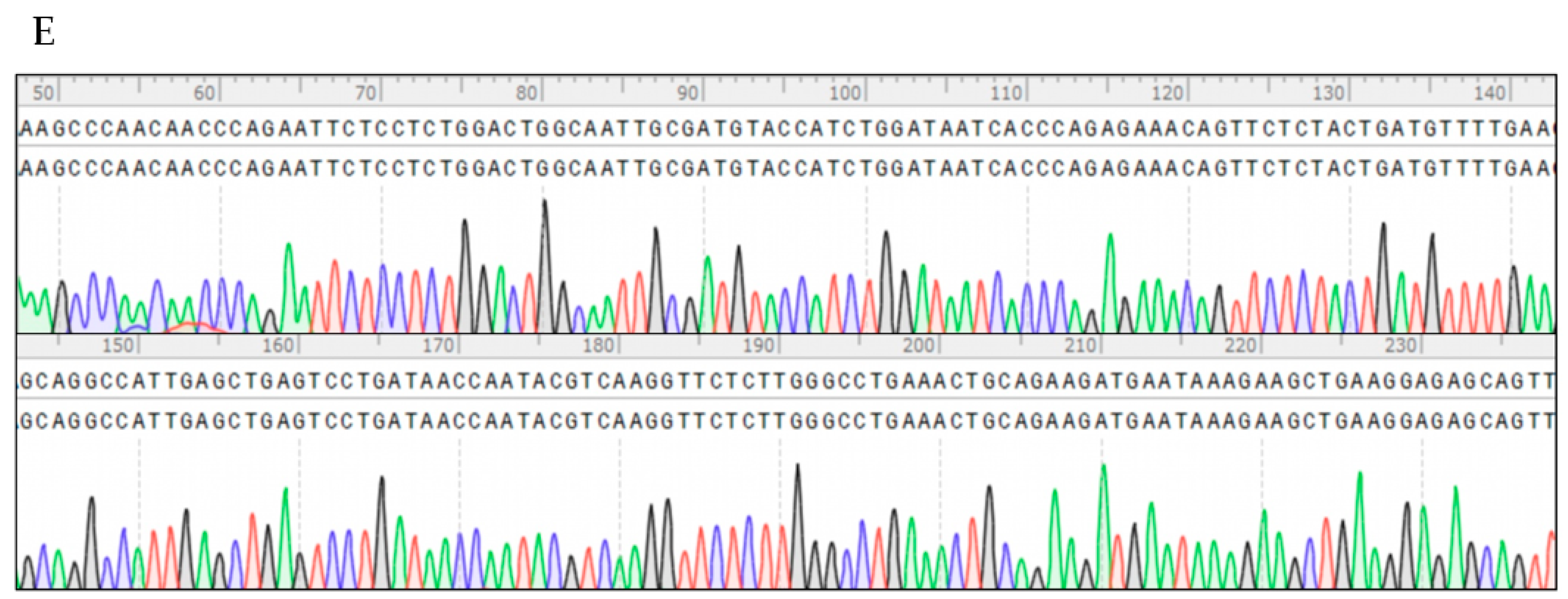 Genes 12 01035 g001b Genes 12 01035 g001b