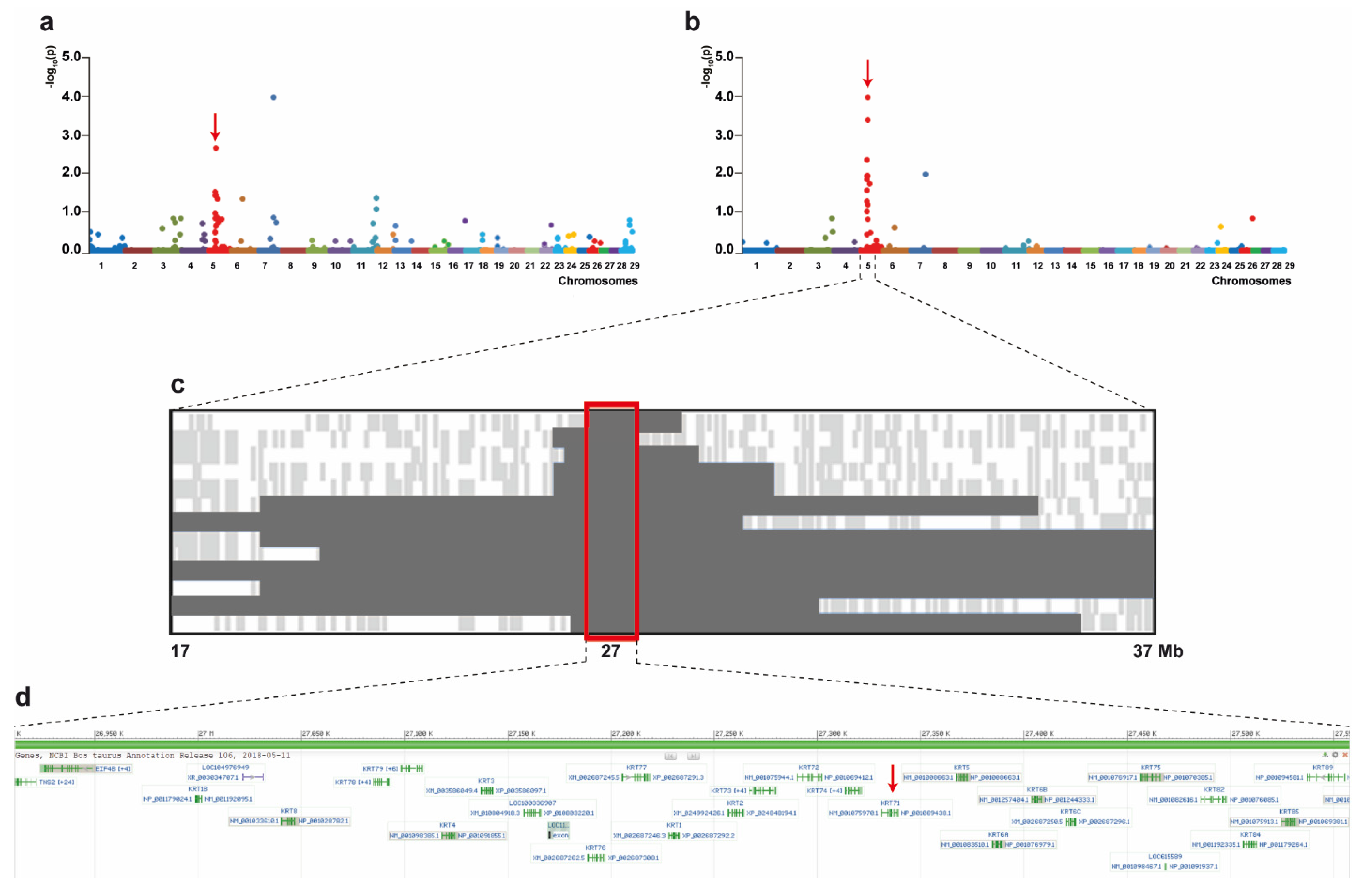 Genes 12 01038 g003 Genes 12 01038 g003