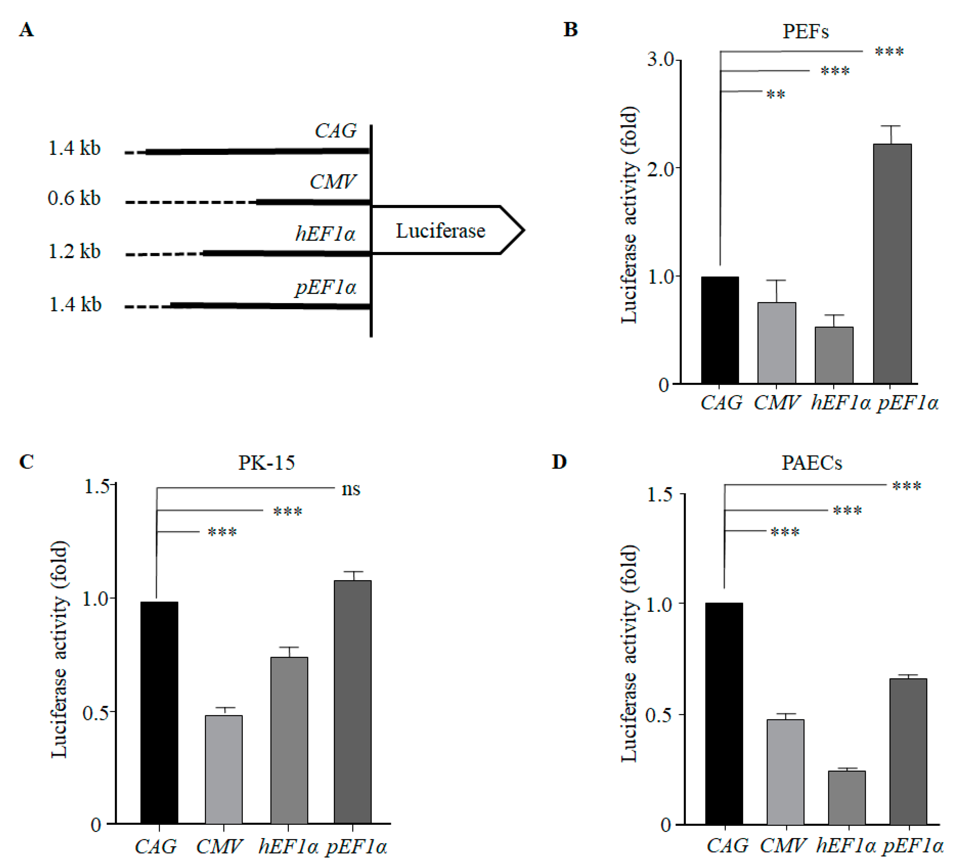Genes 12 01046 g002 550