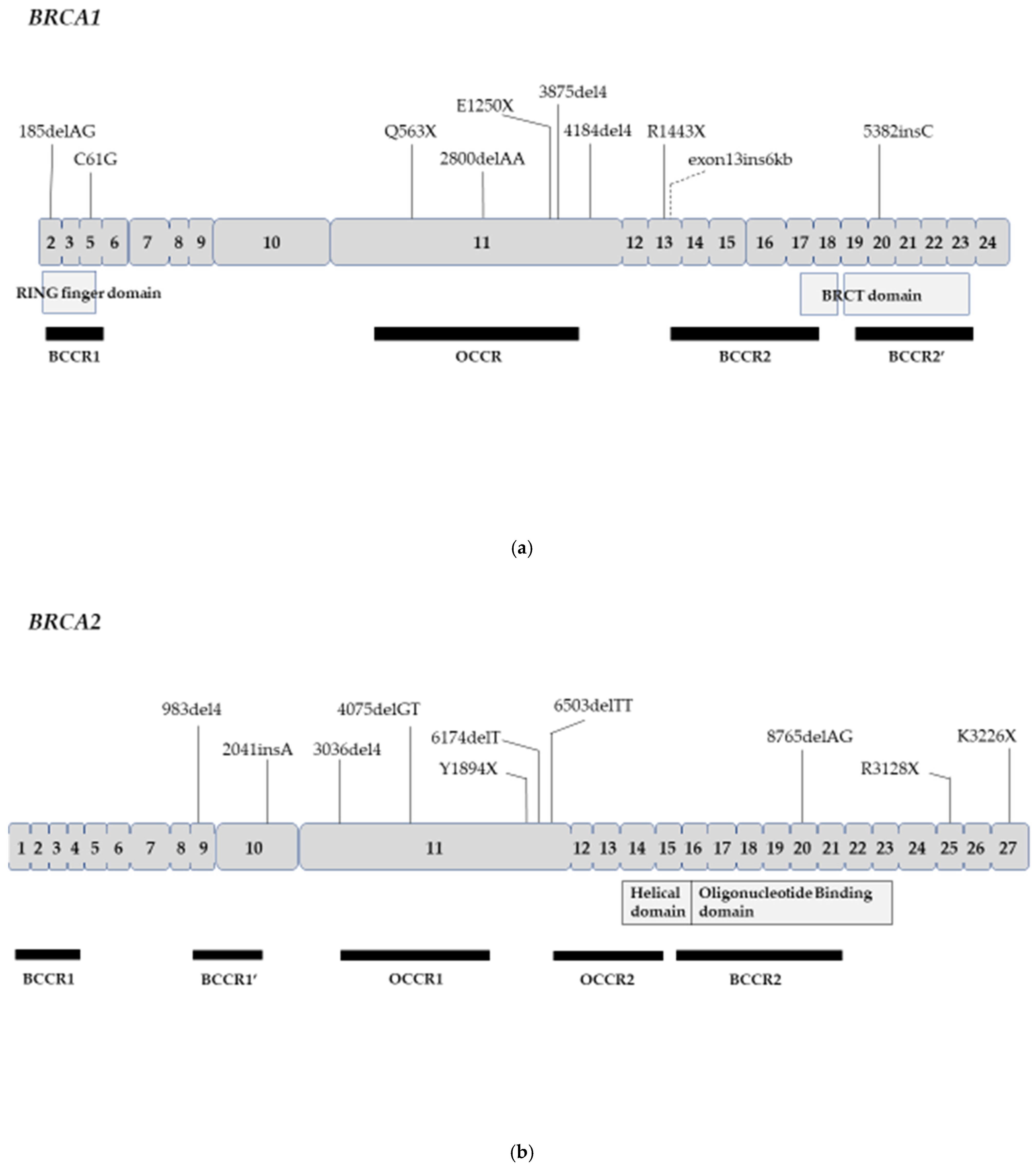 Genes 12 01050 g001
