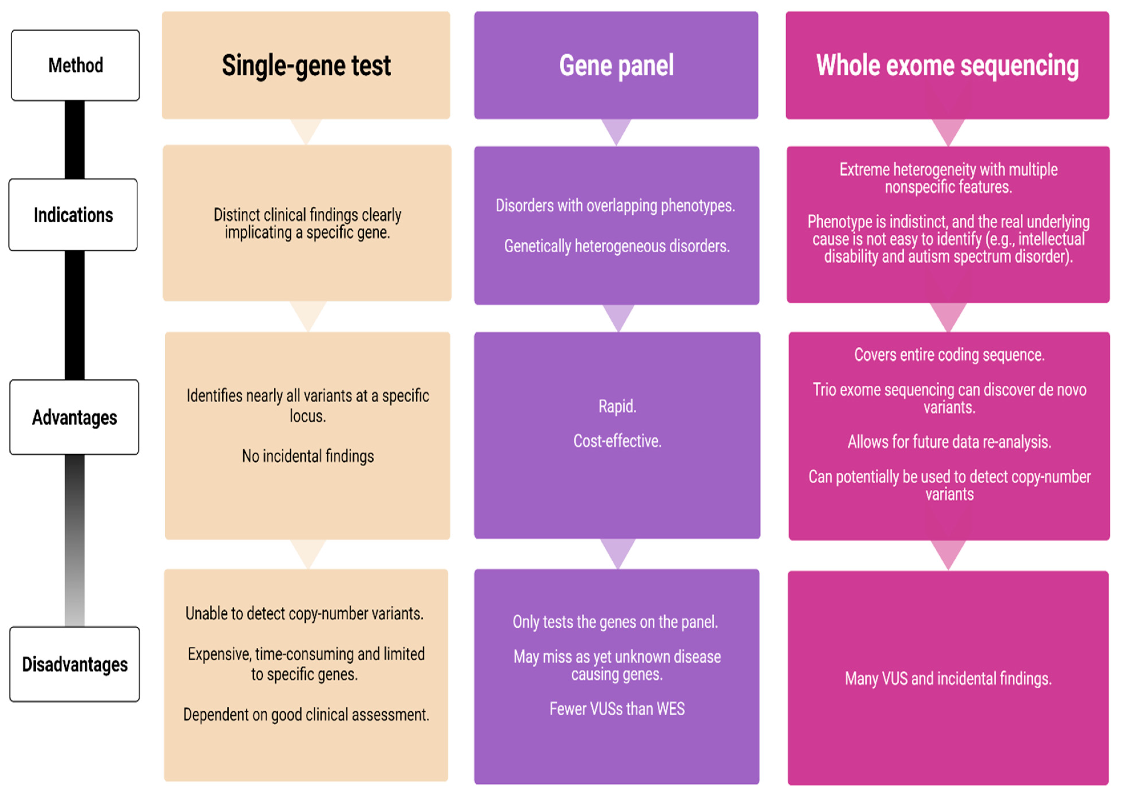 Genes 12 01051 g001 550