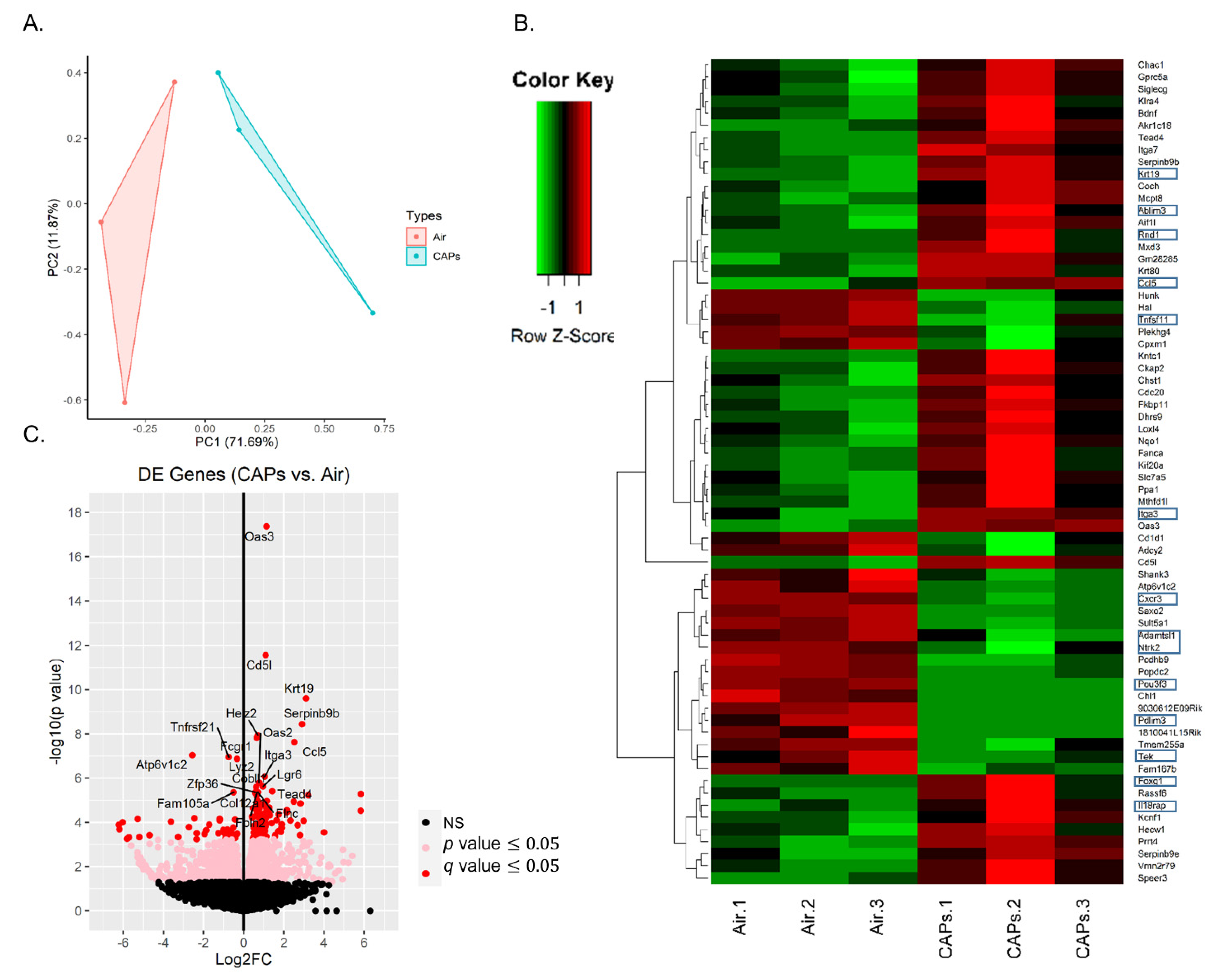 Genes 12 01058 g002 Genes 12 01058 g002