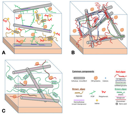 Genes 12 01059 g002 550