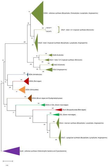 Genes 12 01059 g003 550