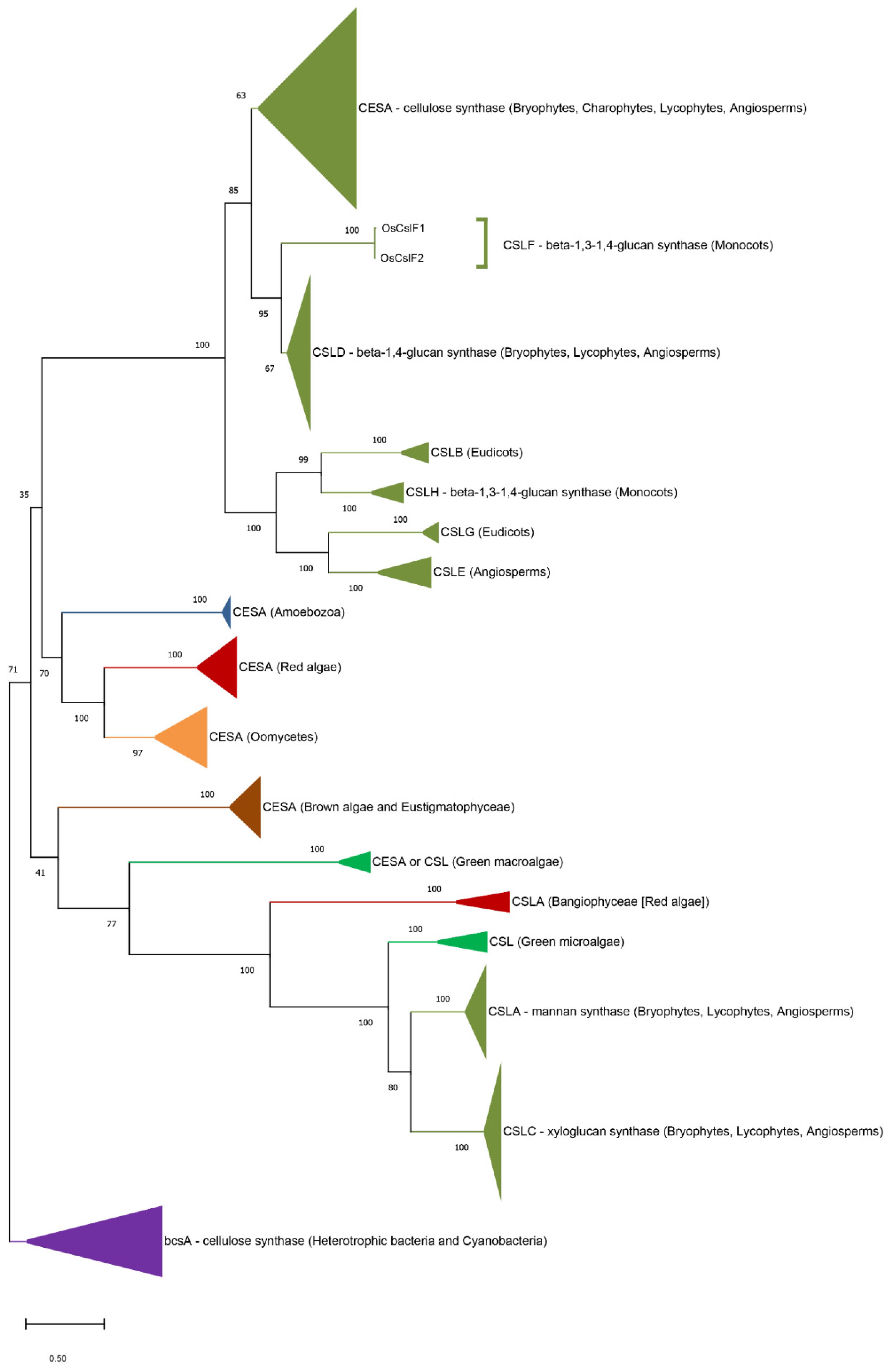 Genes 12 01059 g003