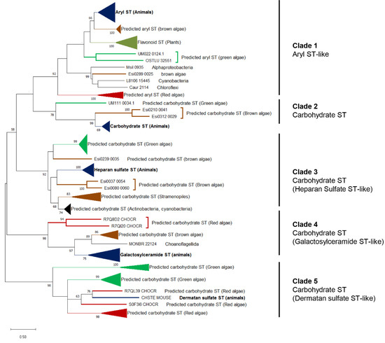 Genes 12 01059 g004 550