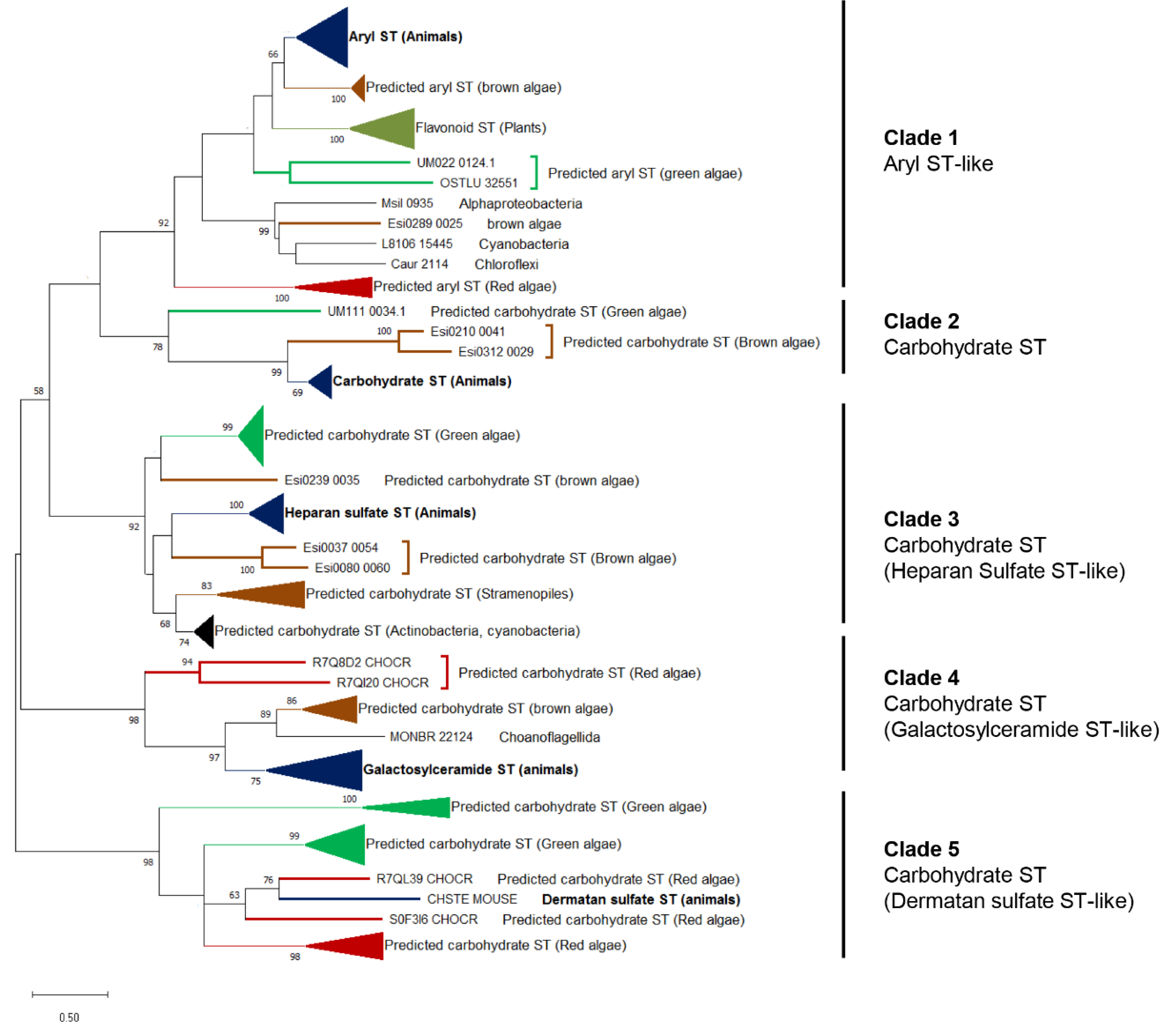 Genes 12 01059 g004