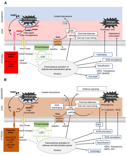 Genes 12 01059 g007 550