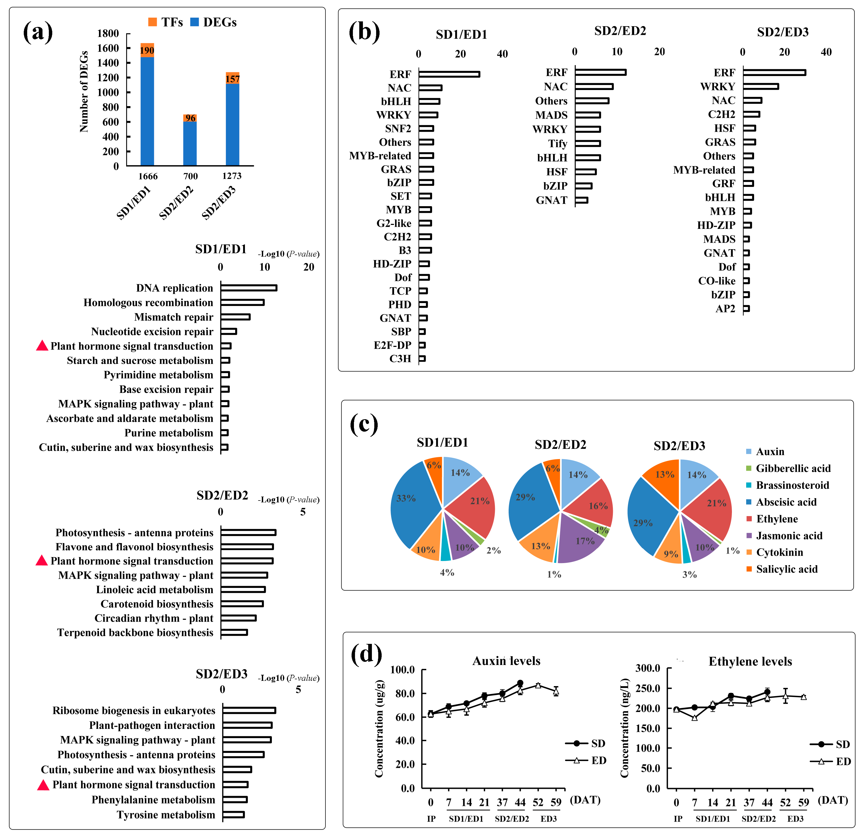Genes 12 01064 g003