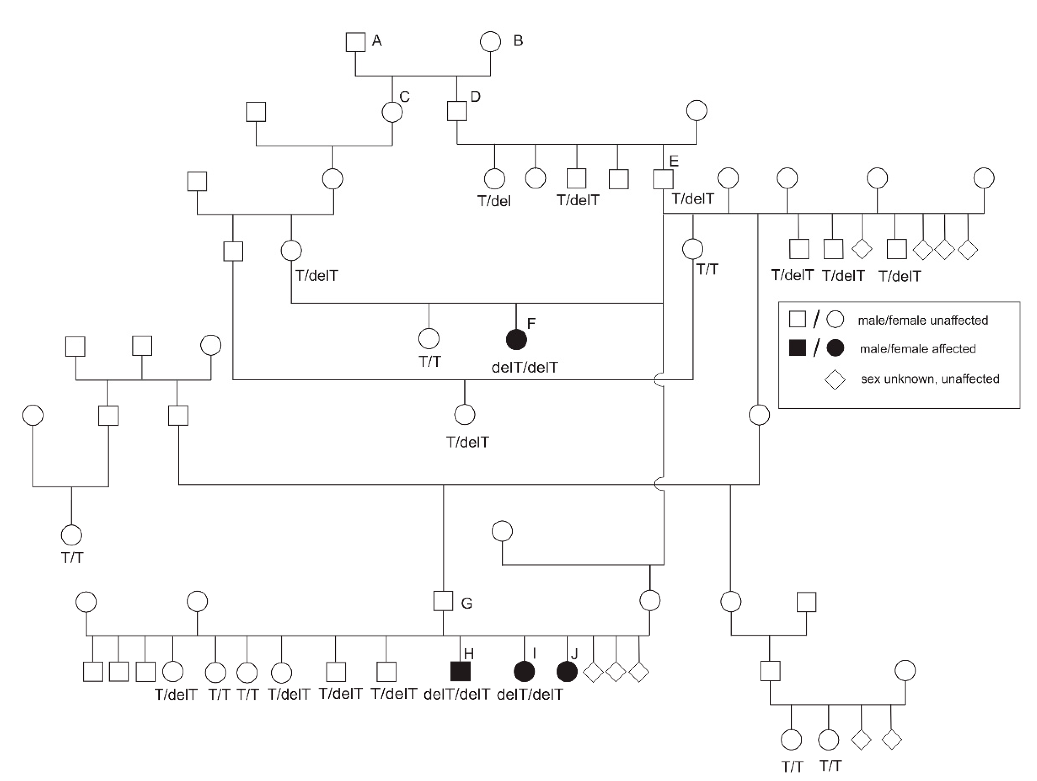 Genes Free Full Text An Fga Frameshift Variant Associated With Afibrinogenemia In Dachshunds Html Genes Free Full Text An Fga Frameshift Variant Associated With Afibrinogenemia In Dachshunds Html