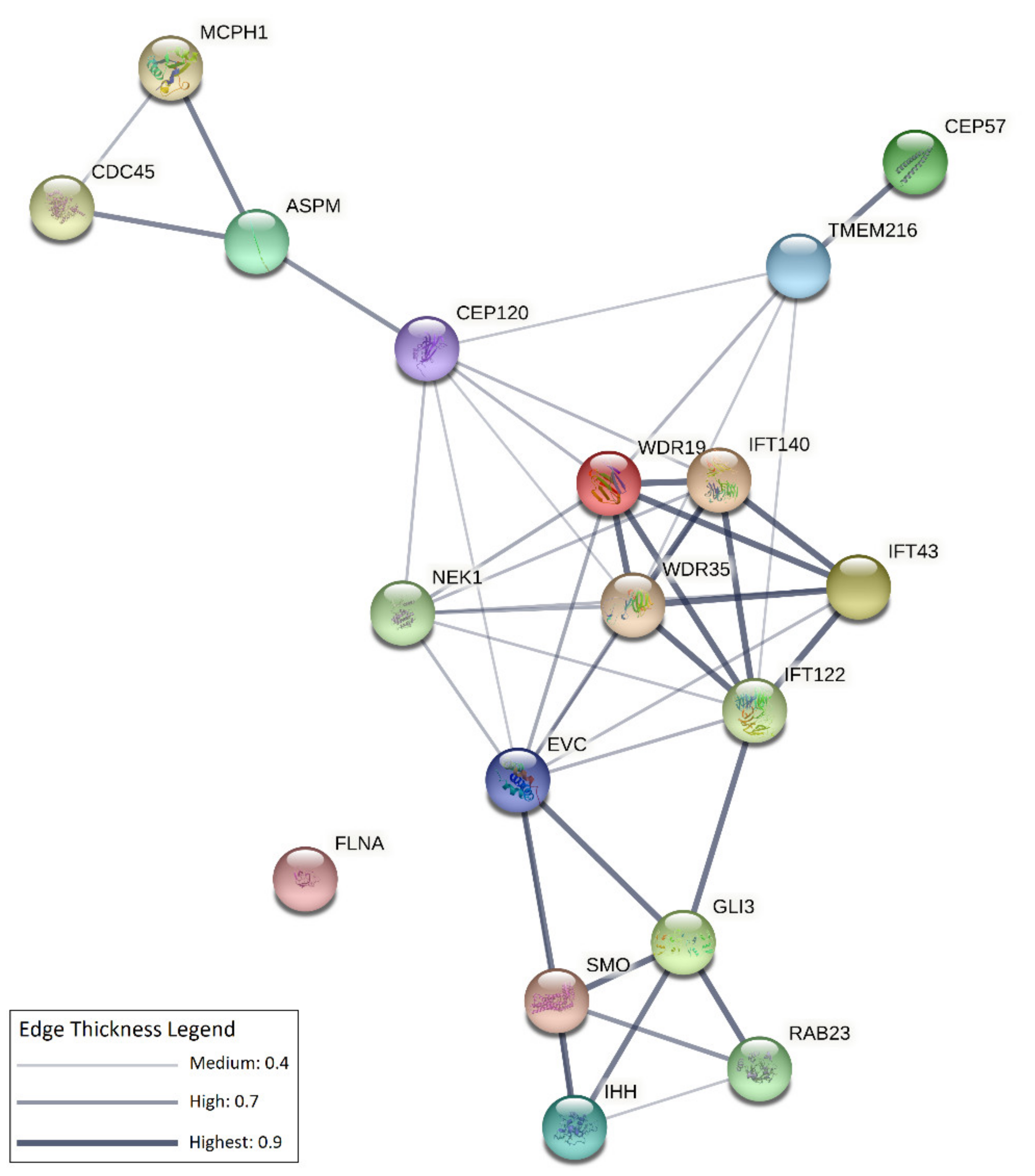 Genes 12 01073 g002 Genes 12 01073 g002