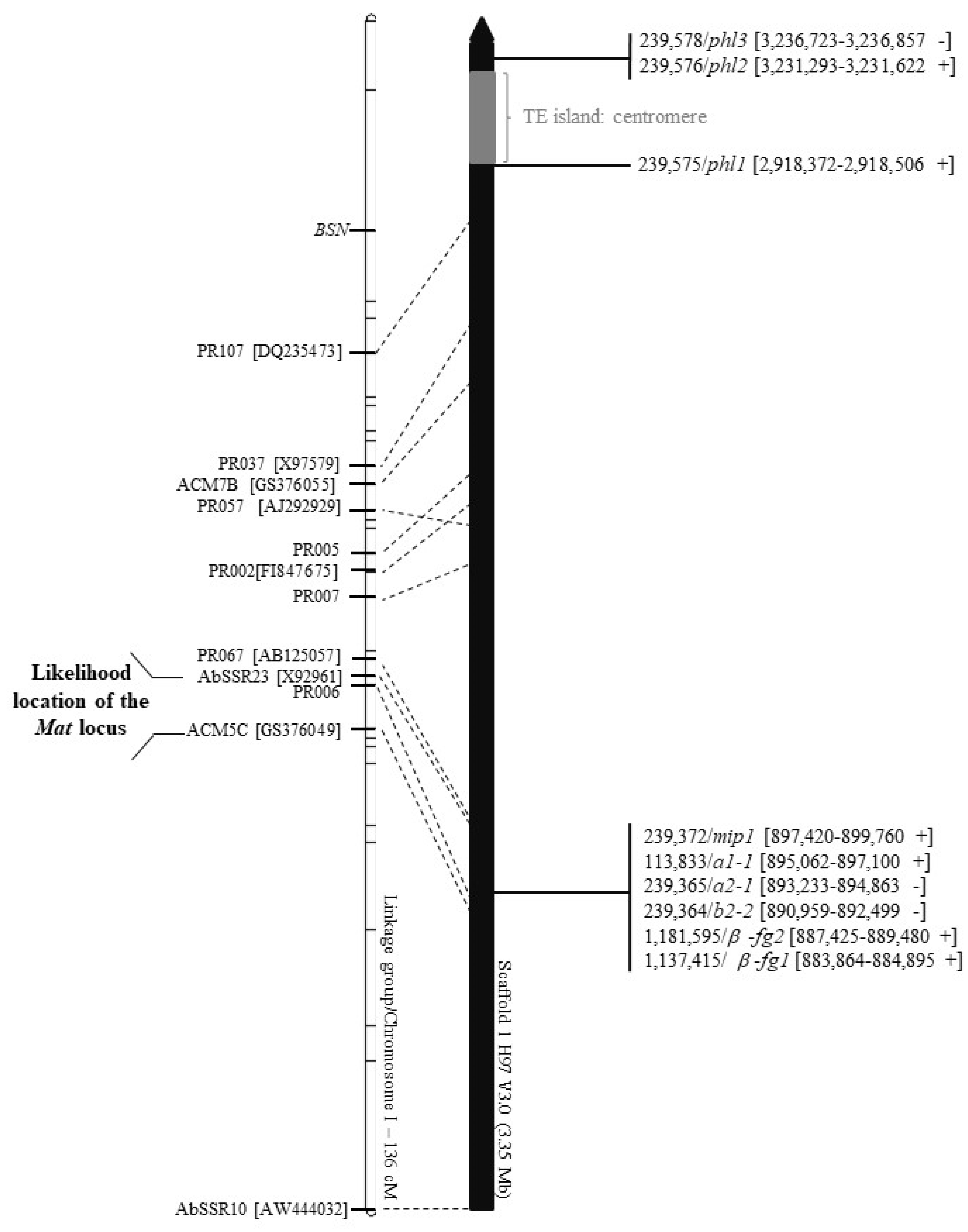 Genes 12 01079 g001 Genes 12 01079 g001