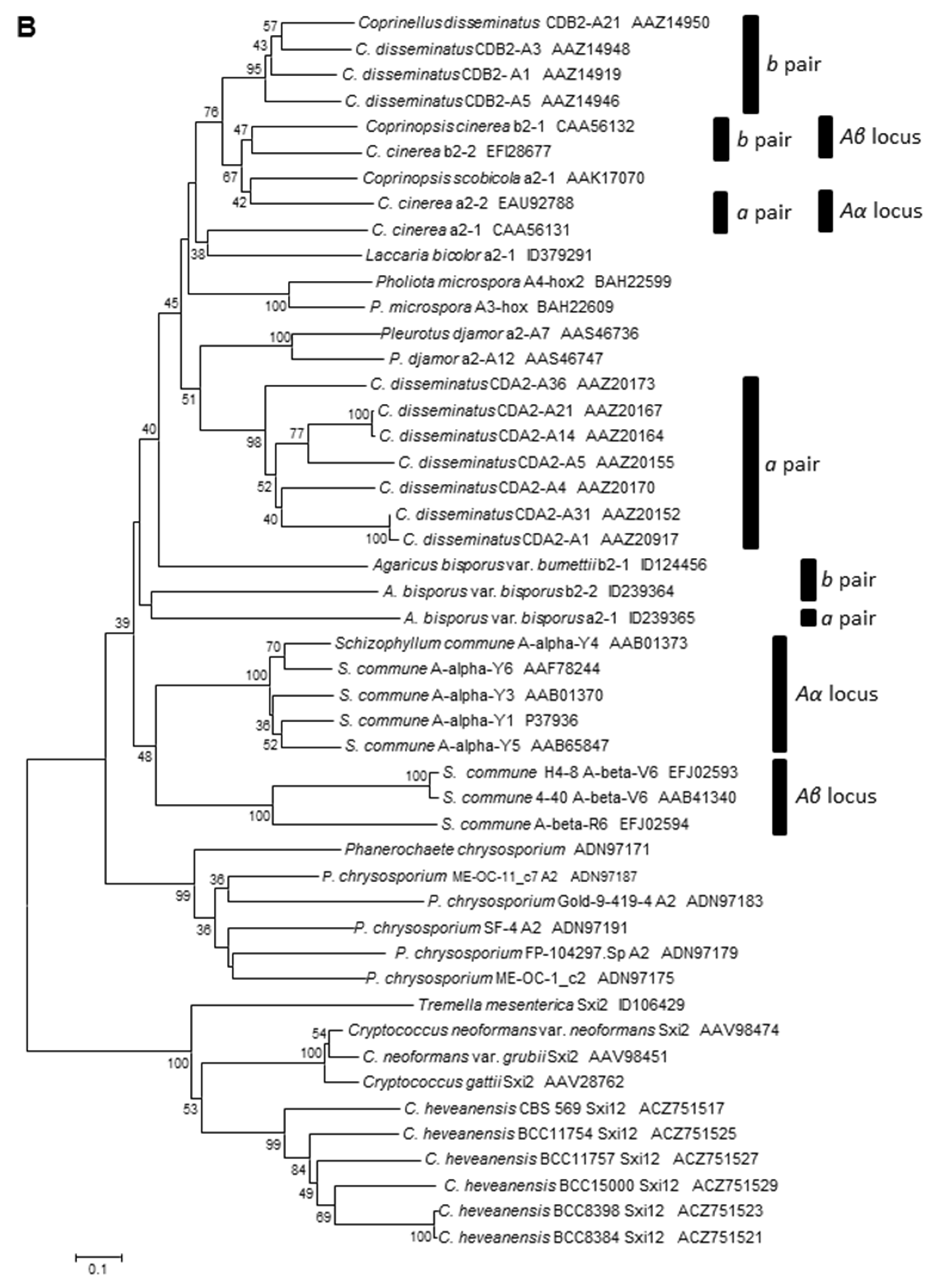 Genes 12 01079 g005b Genes 12 01079 g005b
