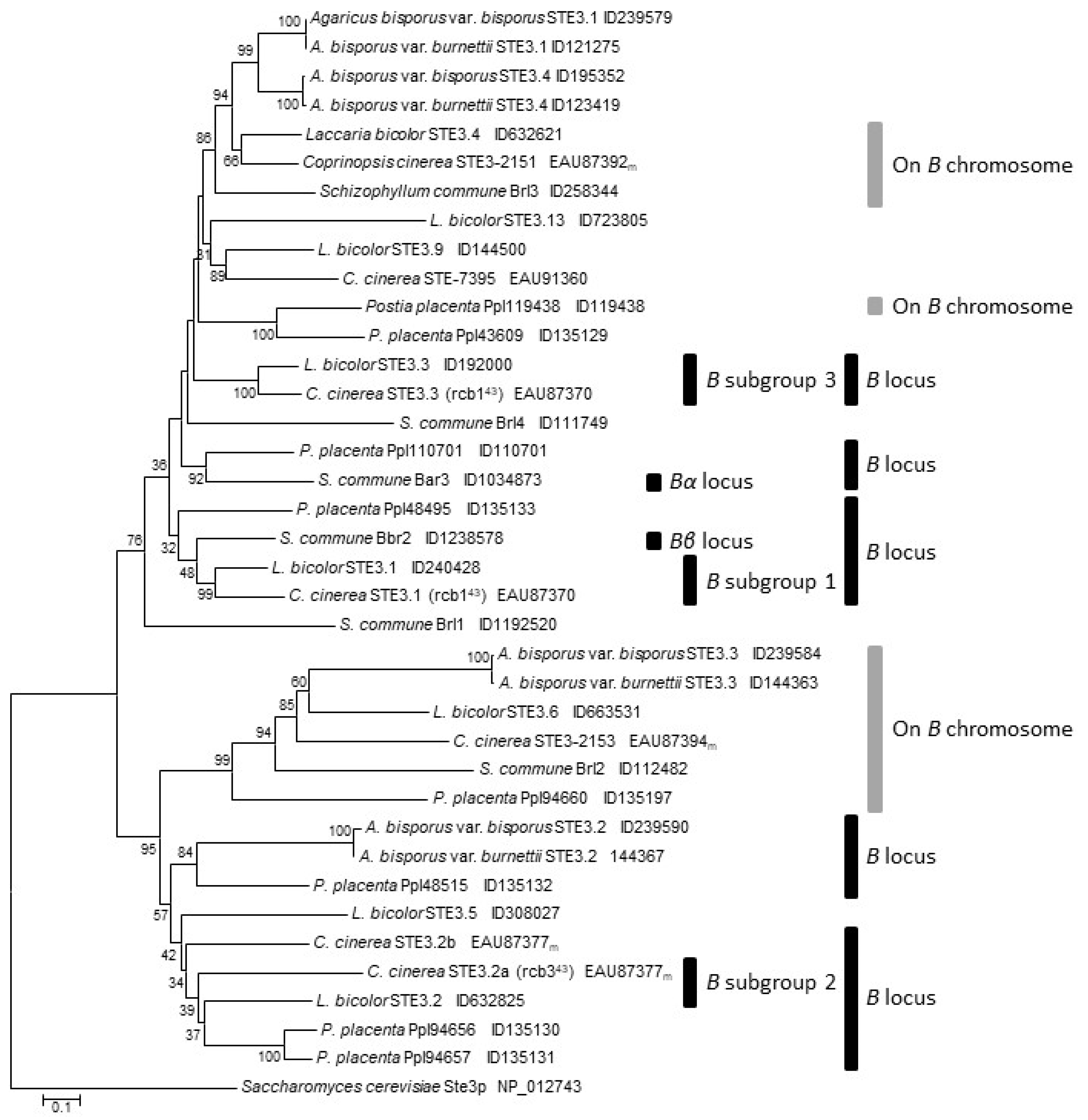 Genes 12 01079 g007 Genes 12 01079 g007