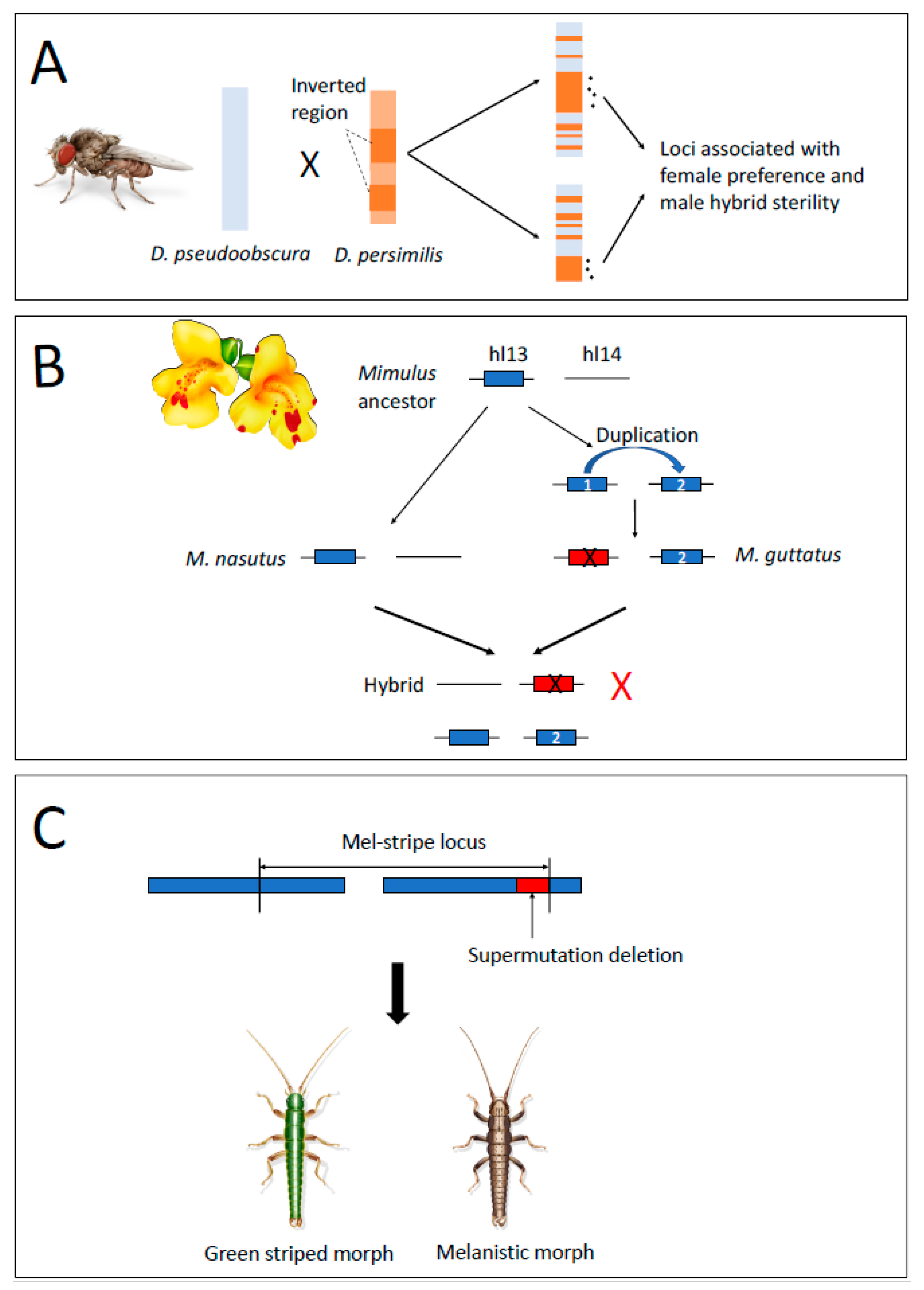Genes 12 01084 g002 Genes 12 01084 g002