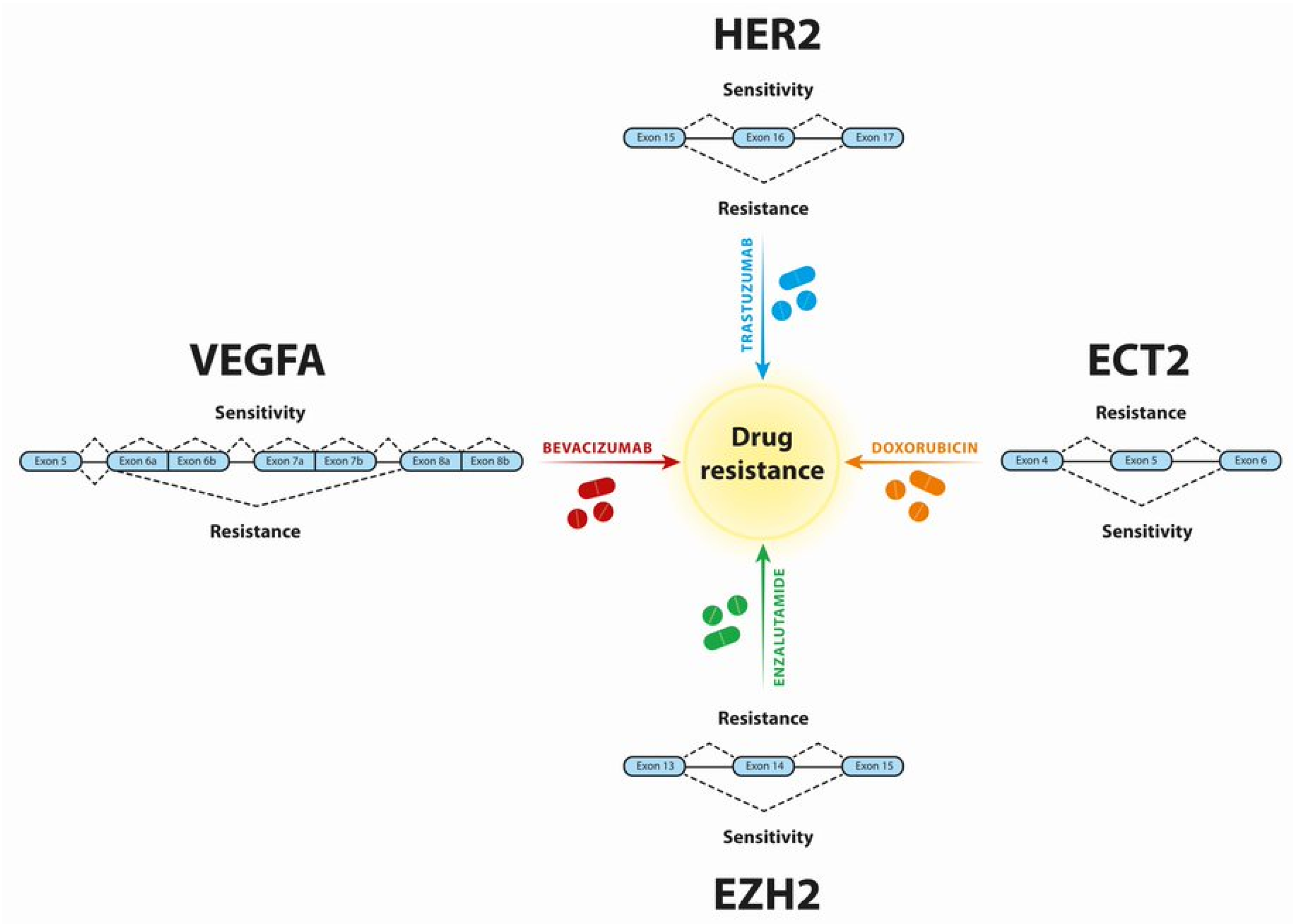Genes 12 01085 g002 Genes 12 01085 g002