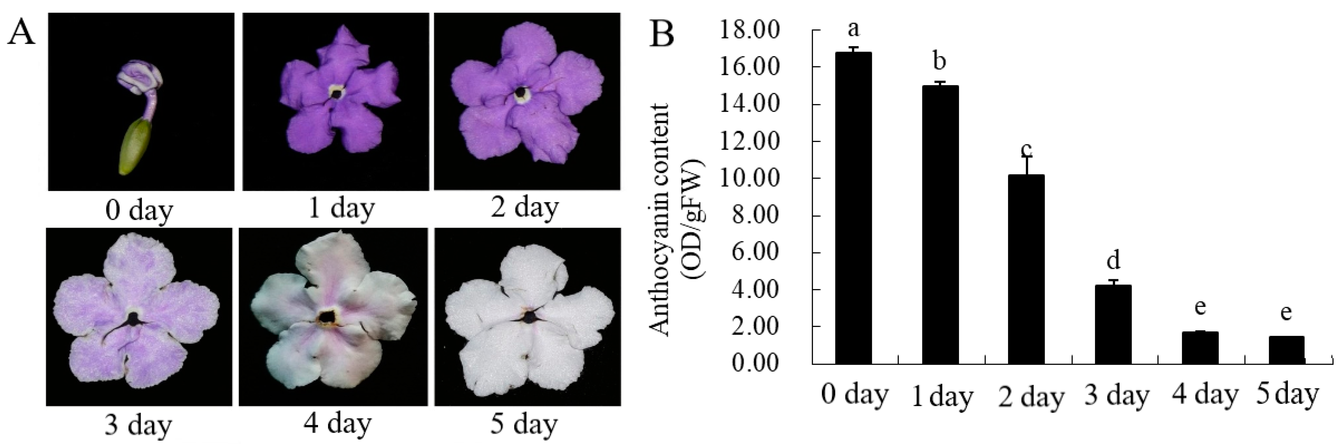 Genes 12 01086 g002 550