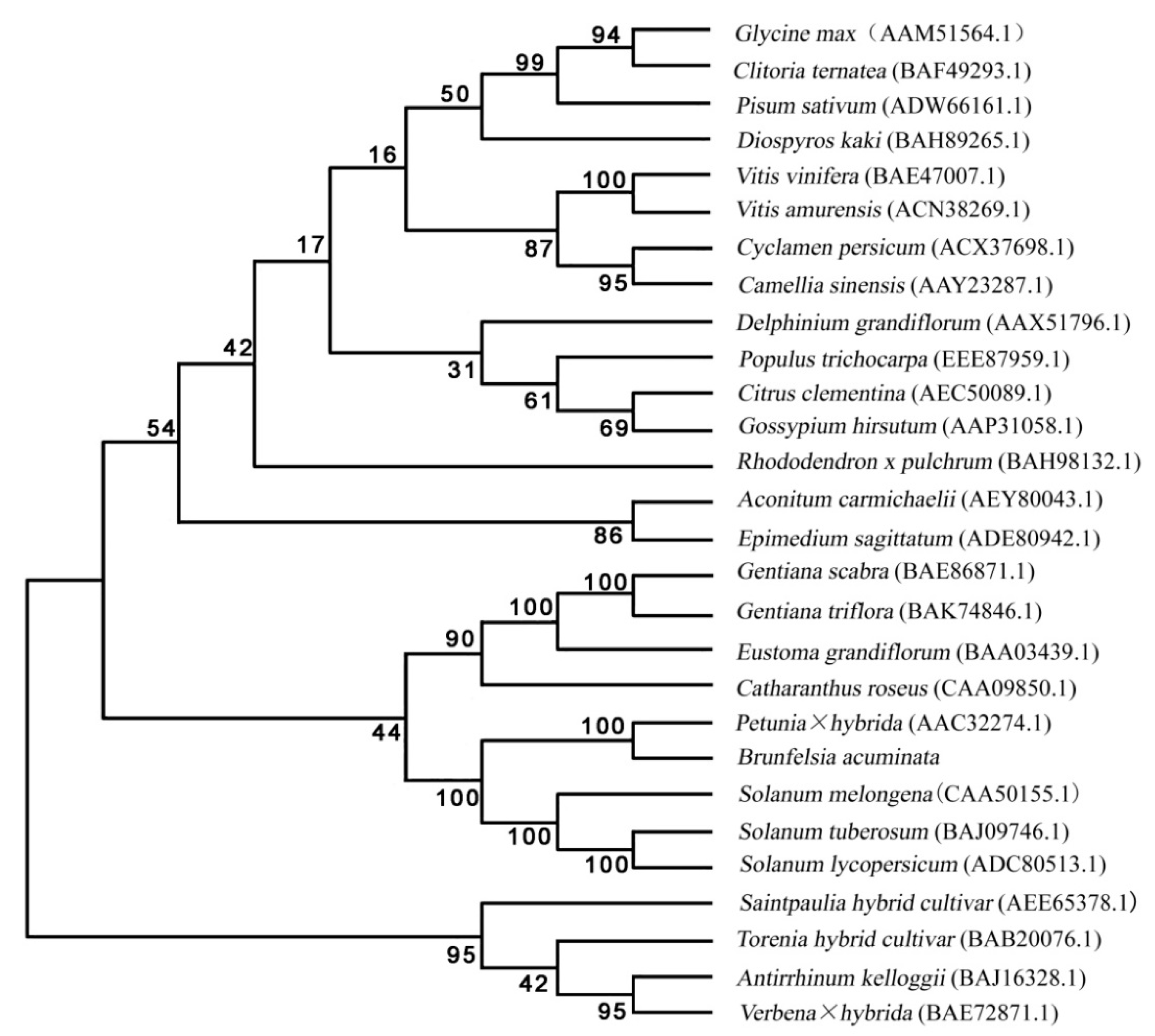 Genes 12 01086 g007 550