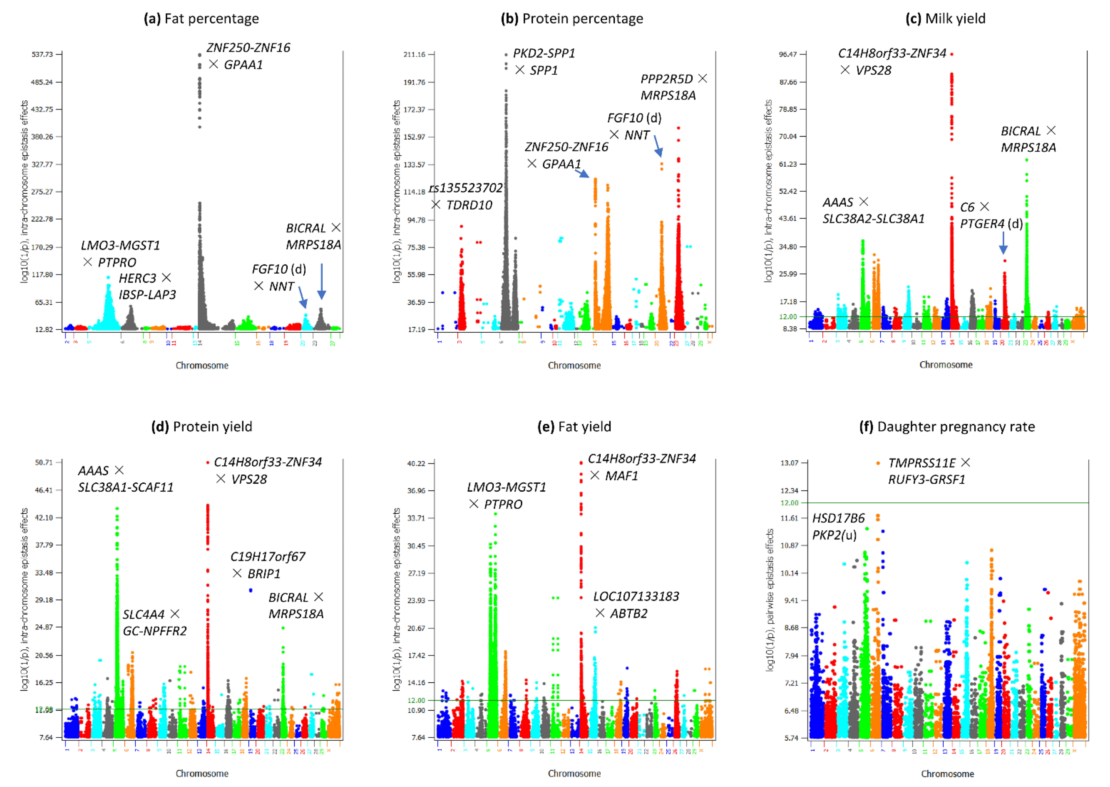 Genes 12 01089 g001 Genes 12 01089 g001