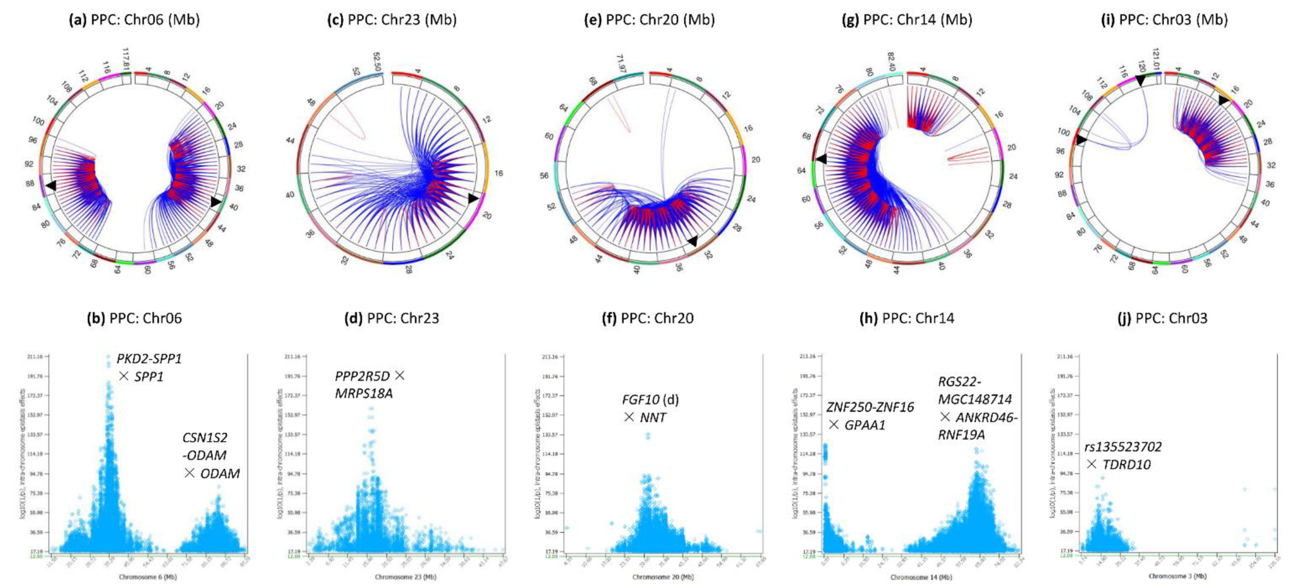 Genes 12 01089 g004 Genes 12 01089 g004