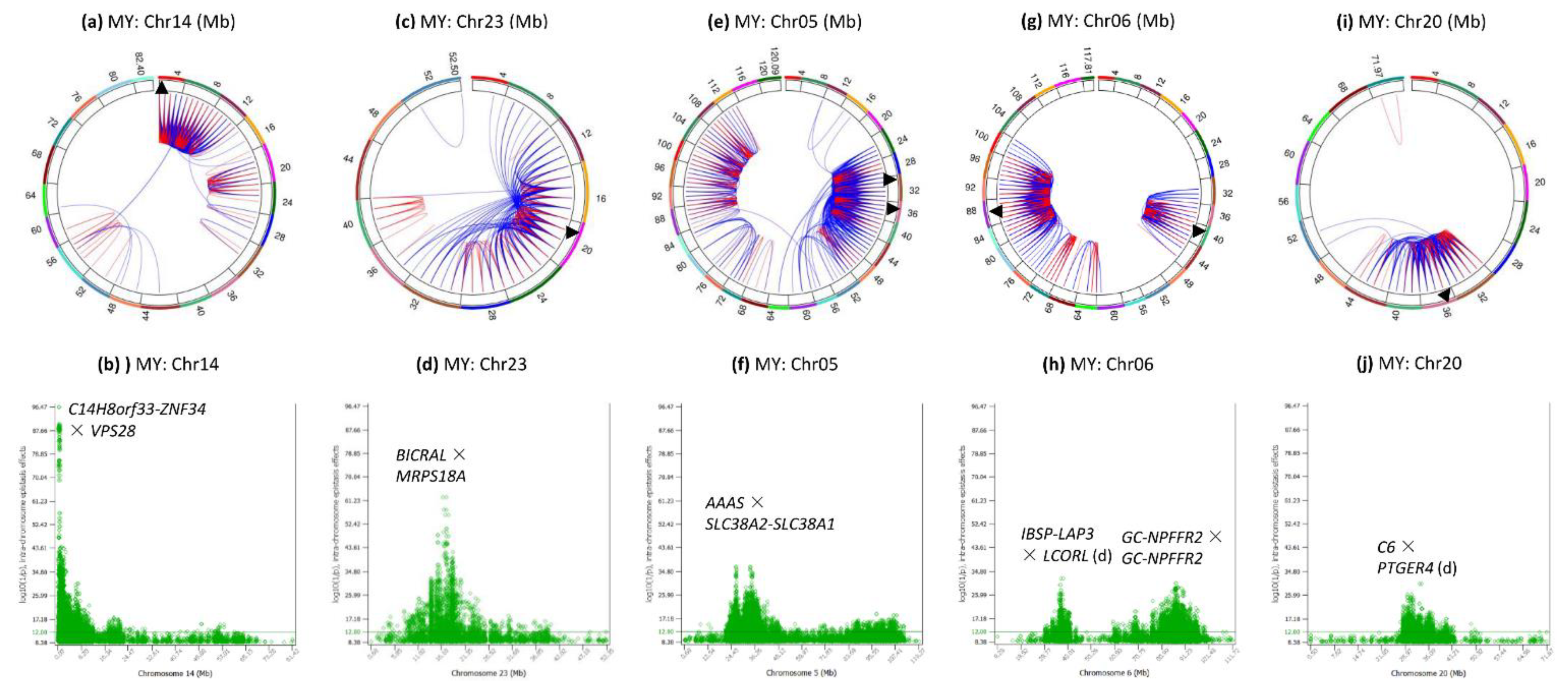 Genes 12 01089 g005 Genes 12 01089 g005