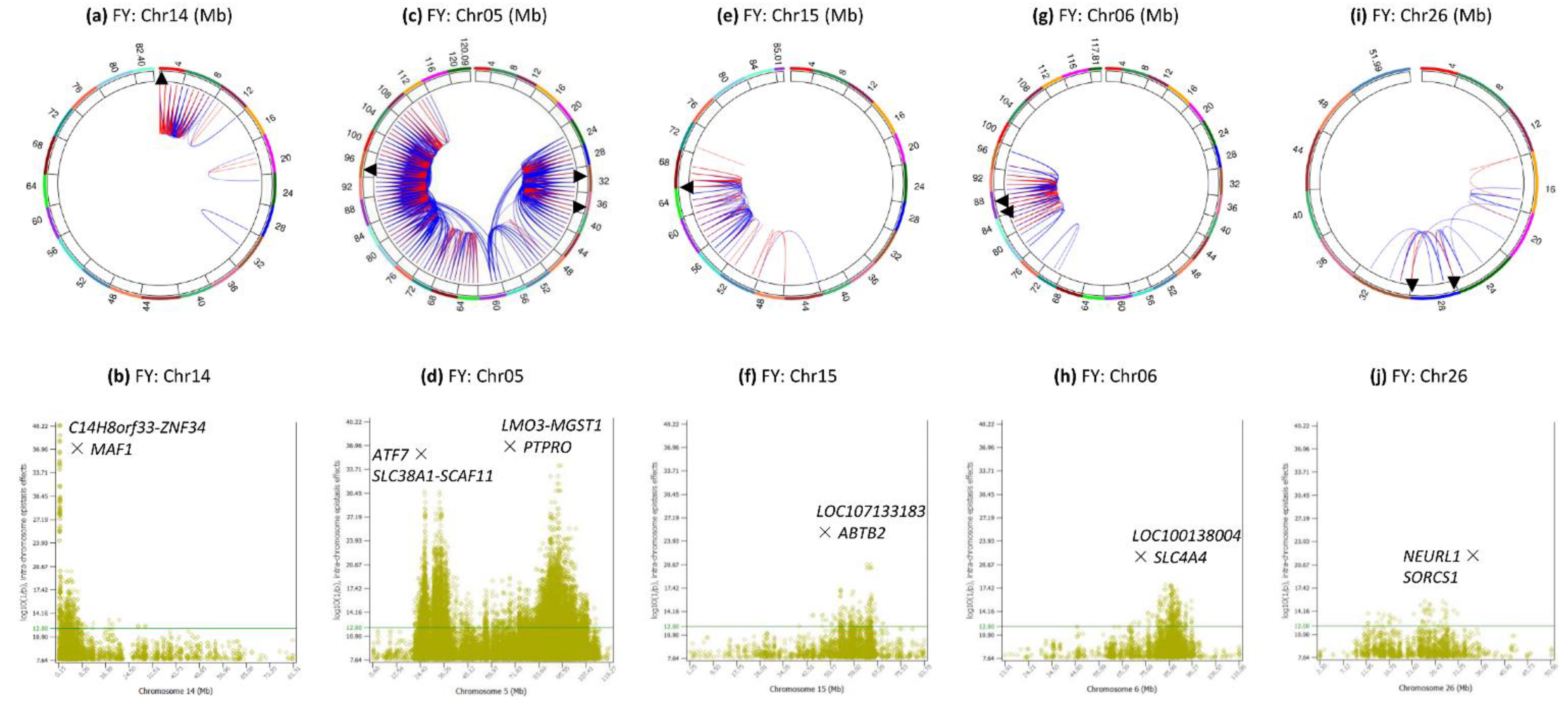 Genes 12 01089 g007 Genes 12 01089 g007