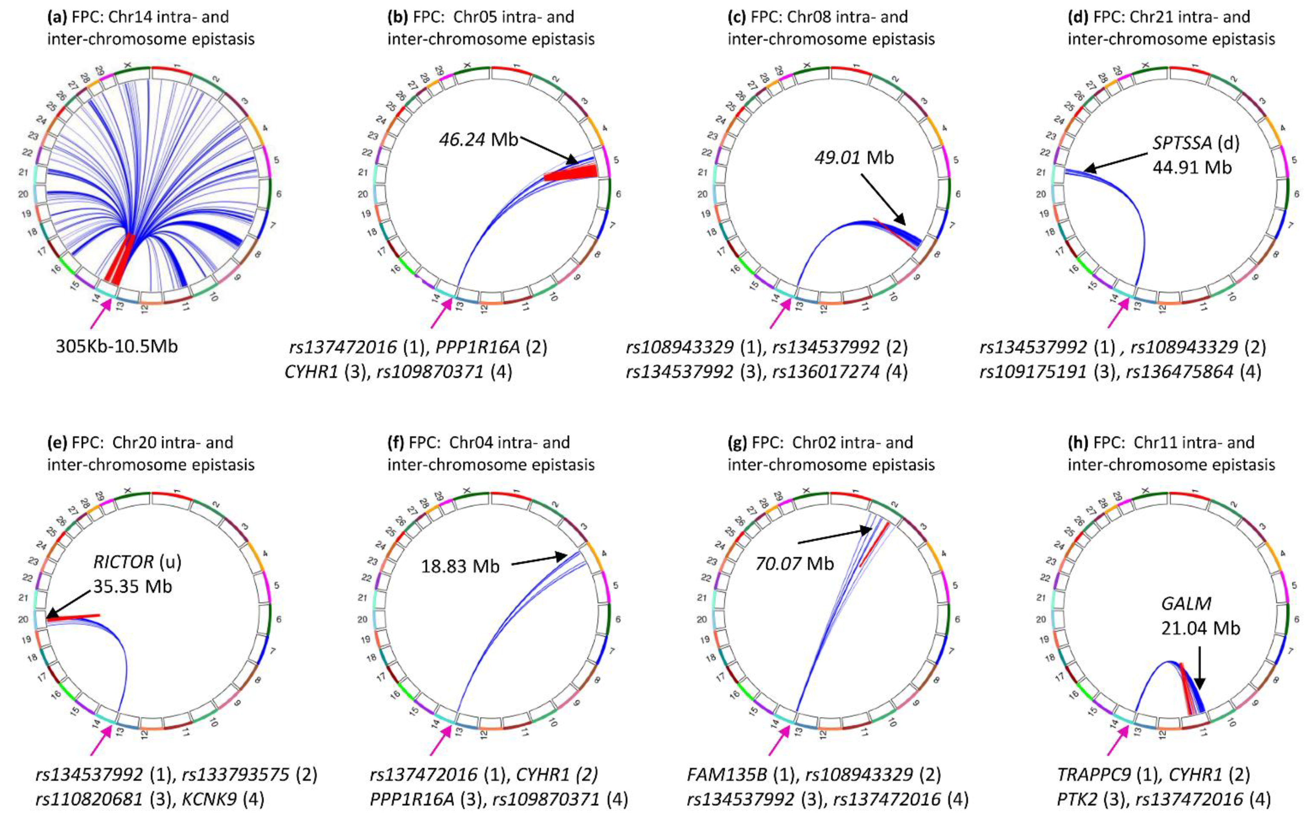 Genes 12 01089 g008 Genes 12 01089 g008
