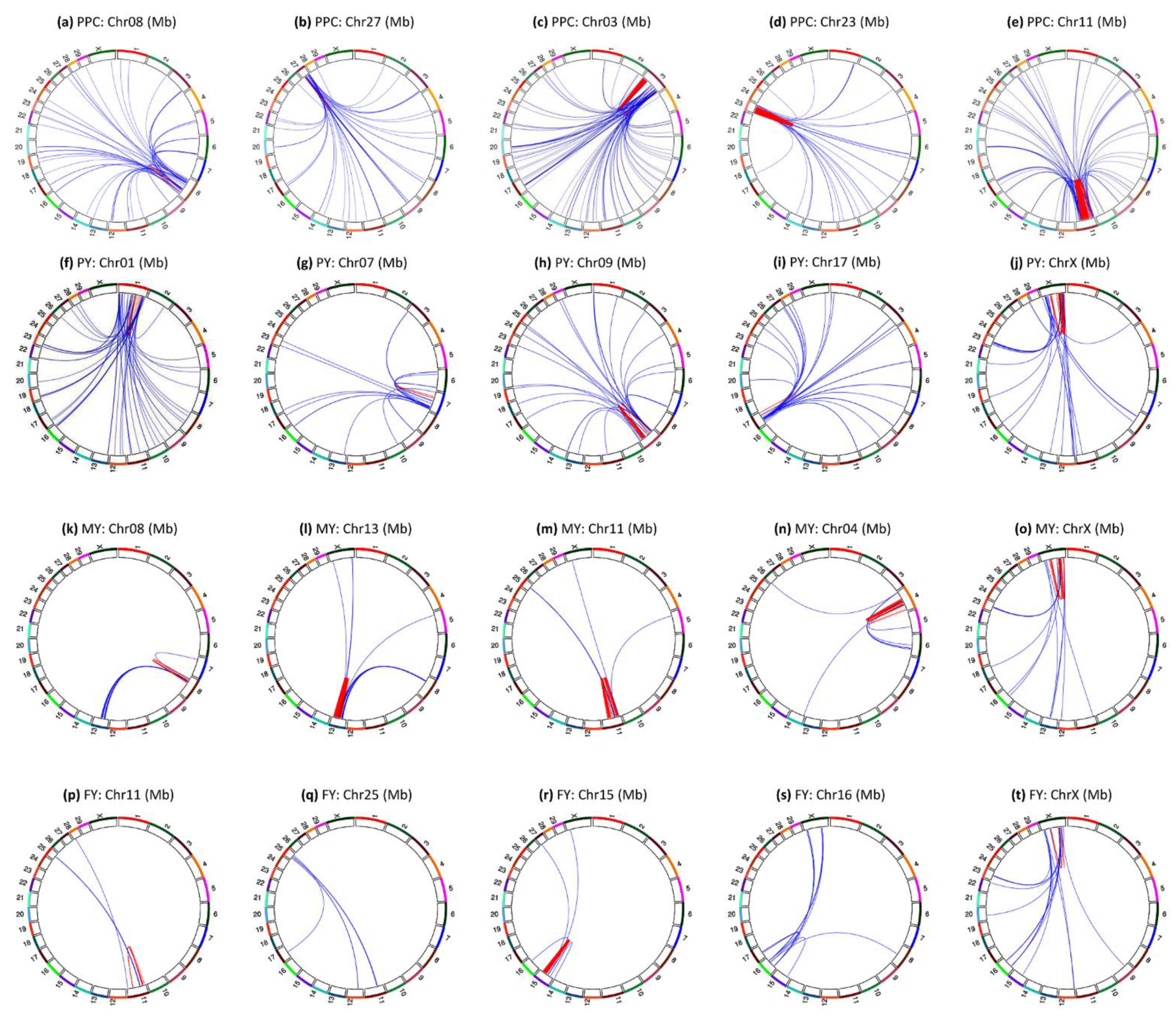 Genes 12 01089 g010 Genes 12 01089 g010