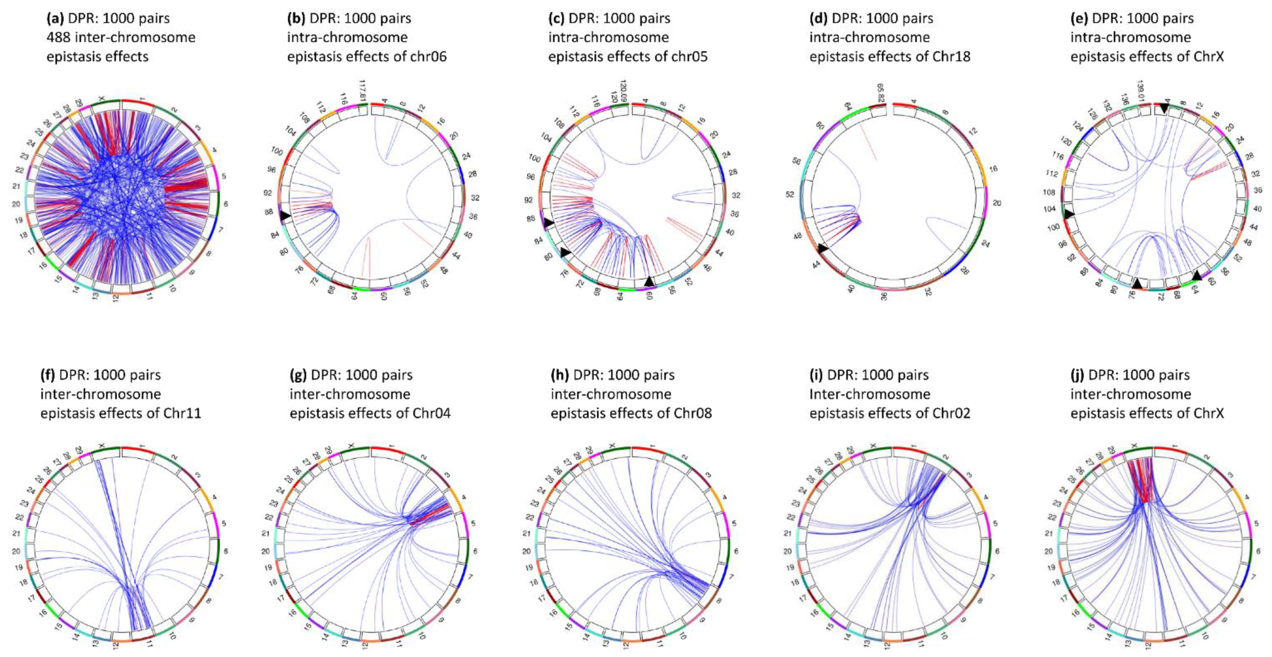 Genes 12 01089 g011 Genes 12 01089 g011