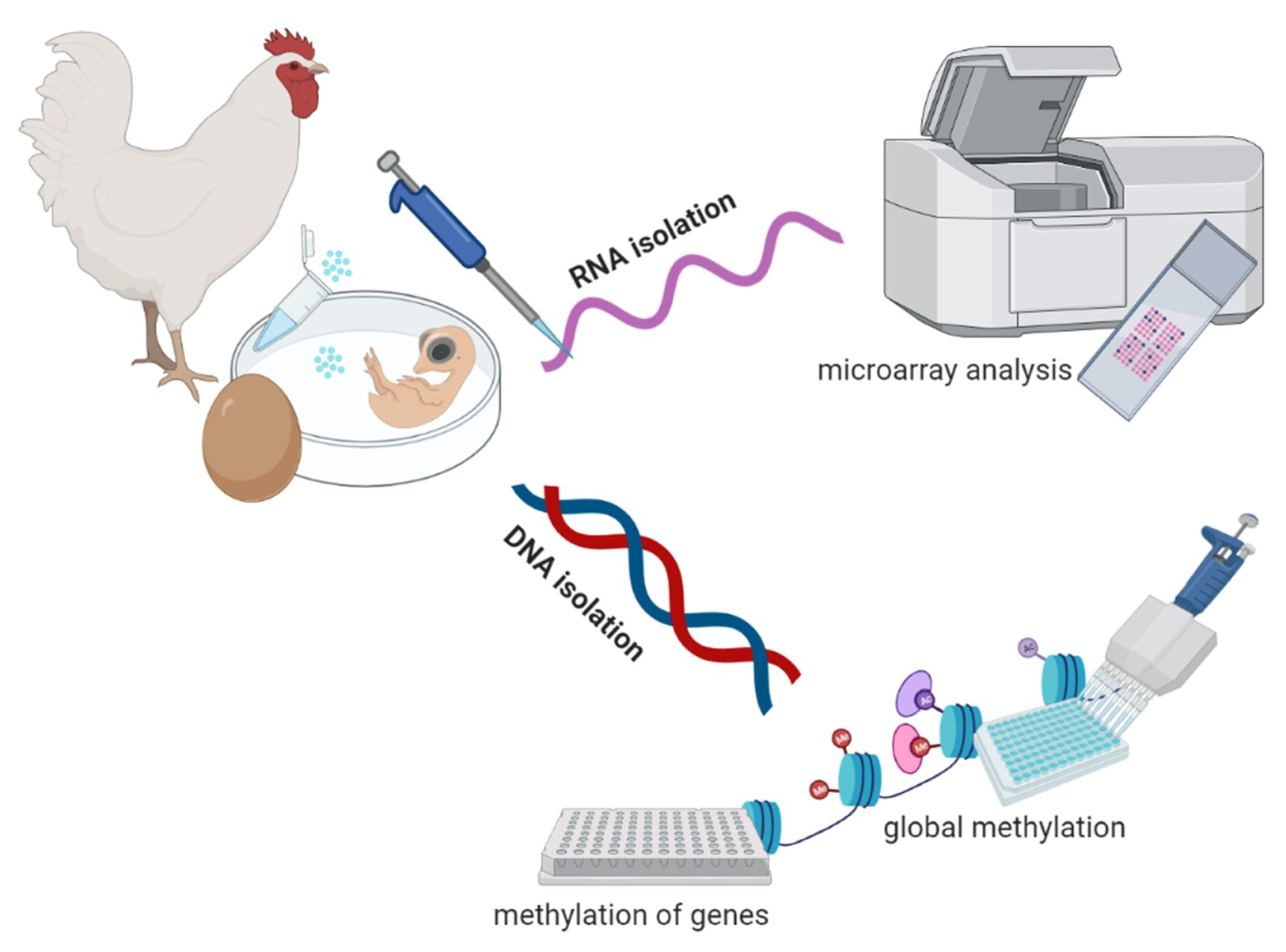 Genes 12 01090 g001 Genes 12 01090 g001